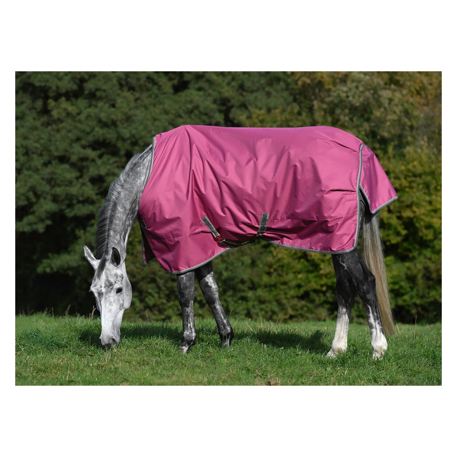 bucas Outdoordecke Freedom Turnout Light – Ansicht 2