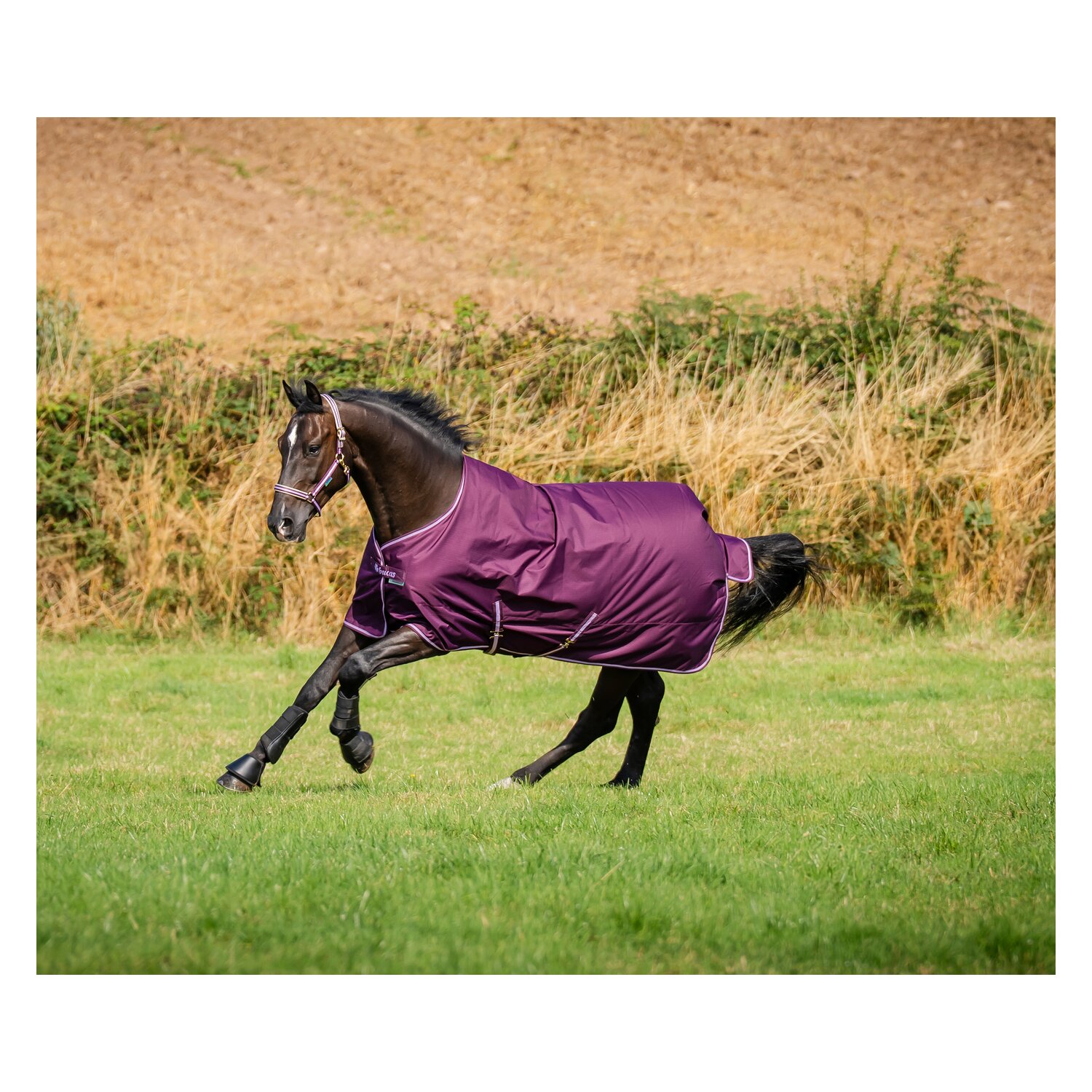 bucas Outdoordecke Freedom Turnout 150 g &ndash; Ansicht 2