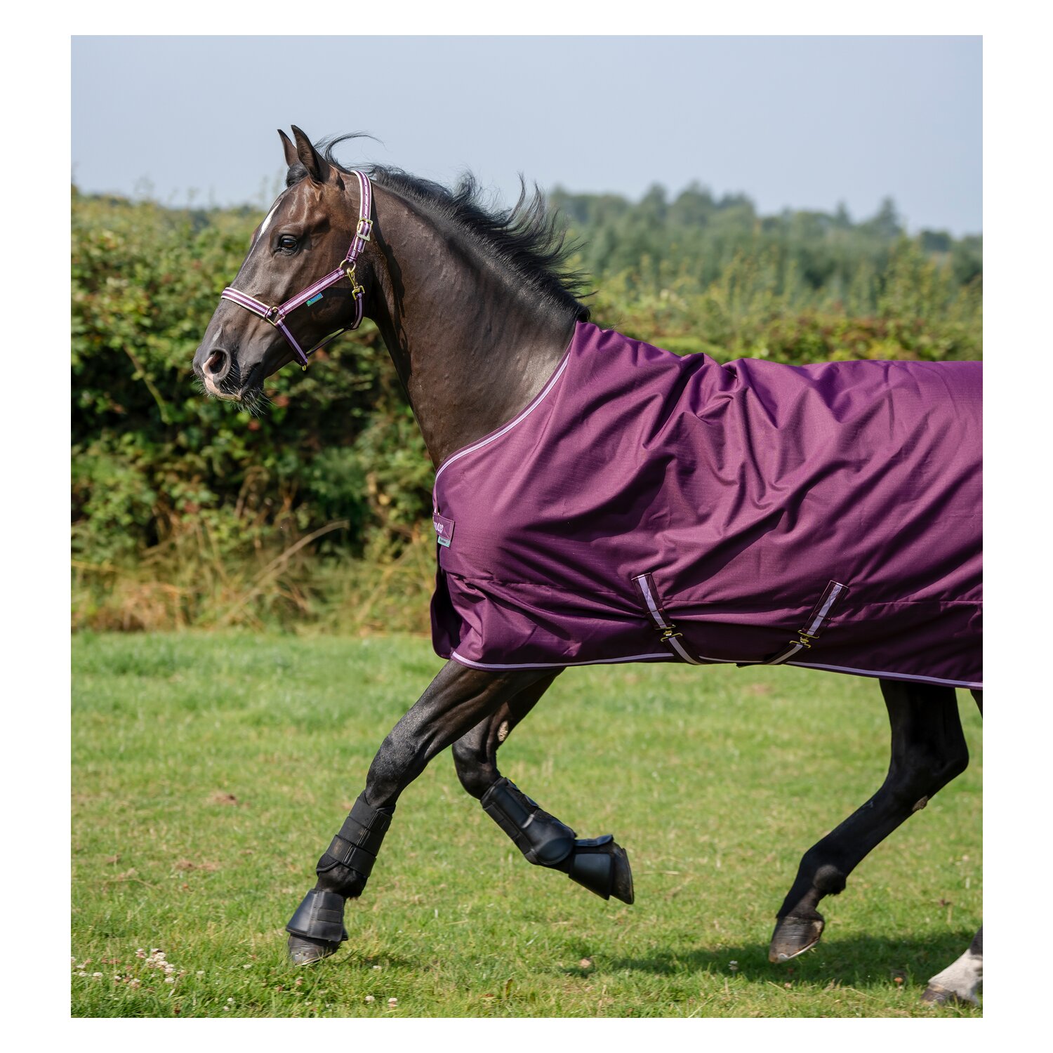 bucas Outdoordecke Freedom Turnout 150 g &ndash; Ansicht 3
