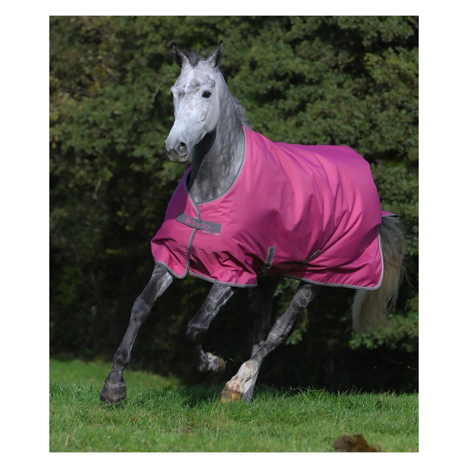 bucas Outdoordecke Freedom Turnout 150 g – Ansicht 3