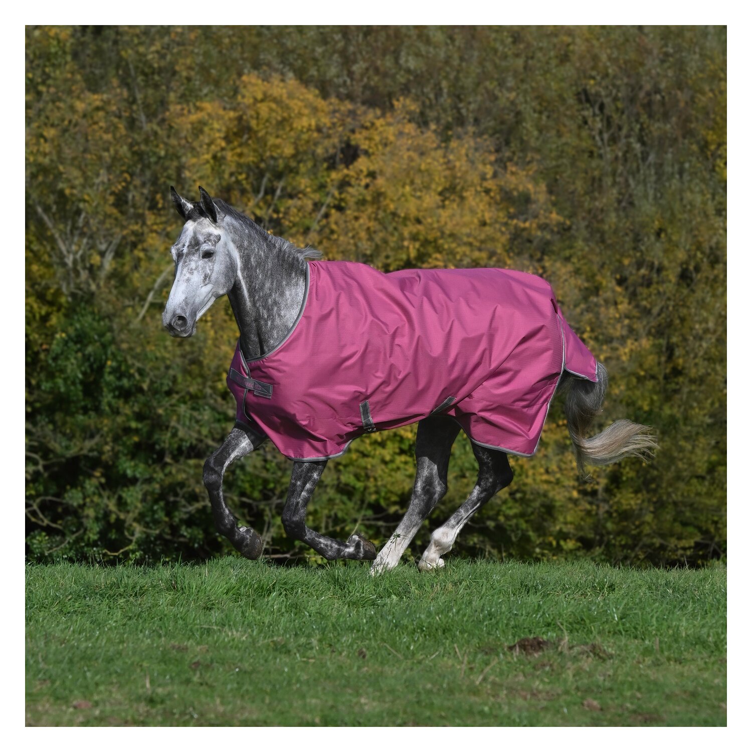 bucas Outdoordecke Freedom Turnout 150 g – Ansicht 4