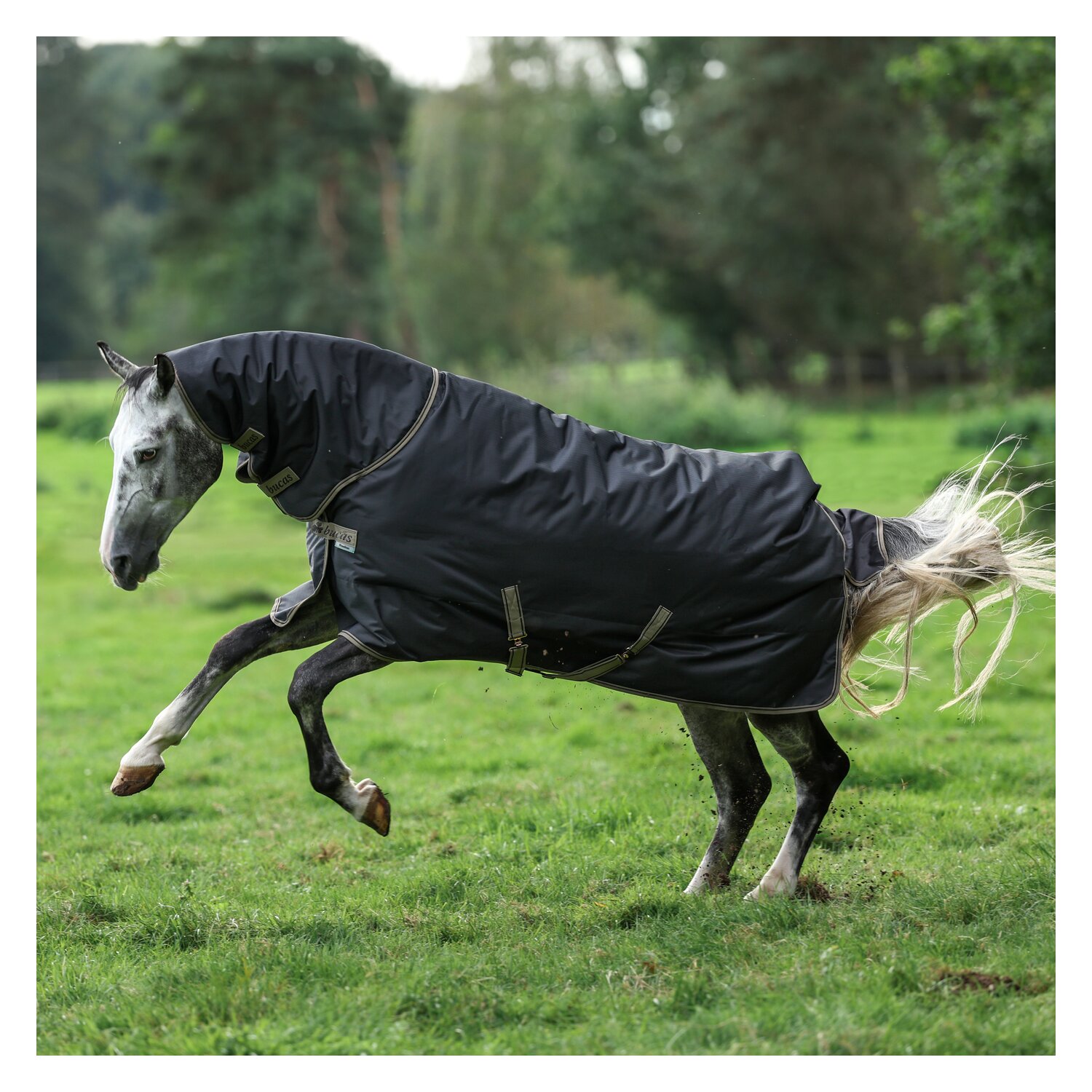 bucas Outdoordecke Freedom Turnout Full Neck Light – Ansicht 2