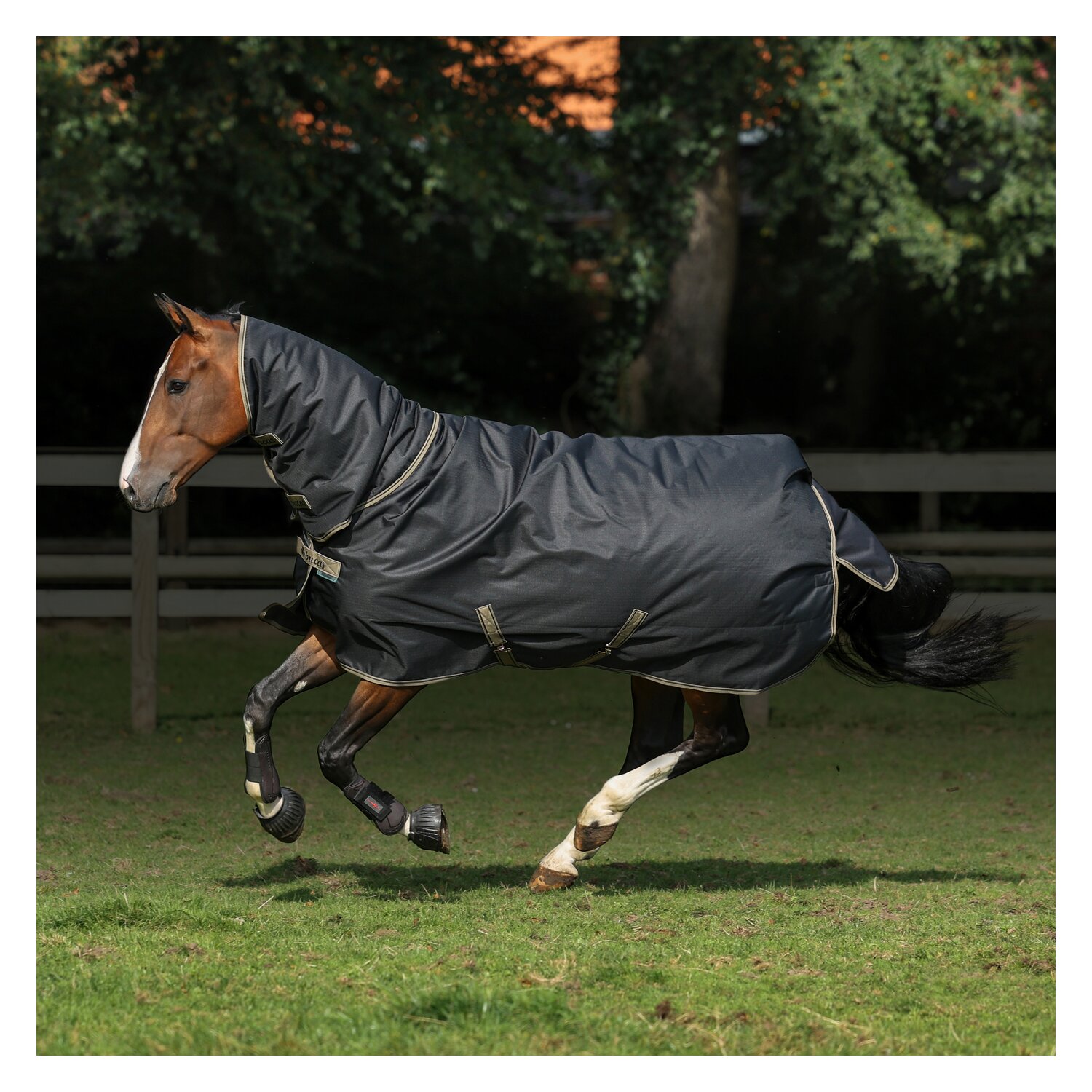 bucas Outdoordecke Freedom Turnout Full Neck Light – Ansicht 3