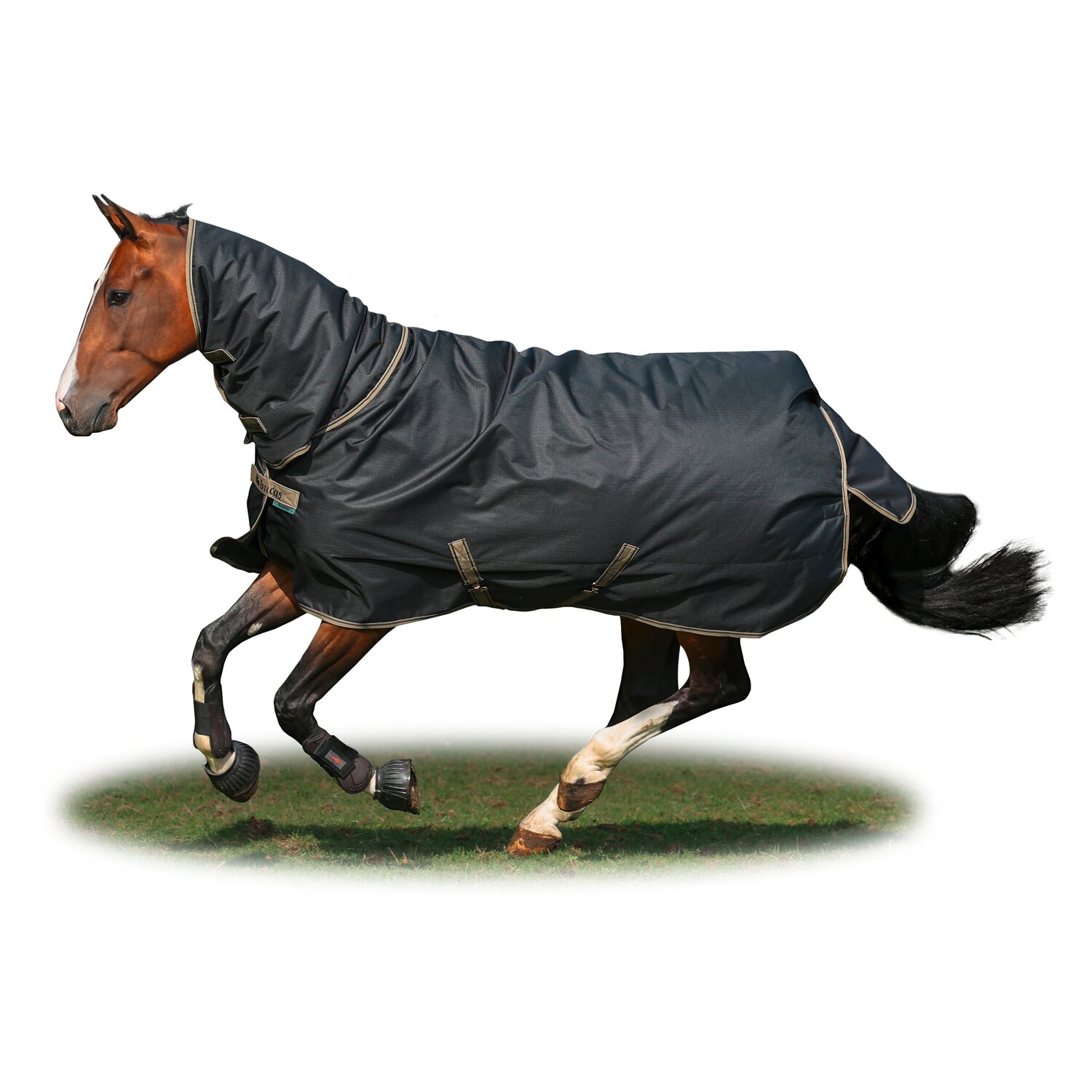 bucas Outdoordecke Freedom Turnout Full Neck Light – Ansicht 1