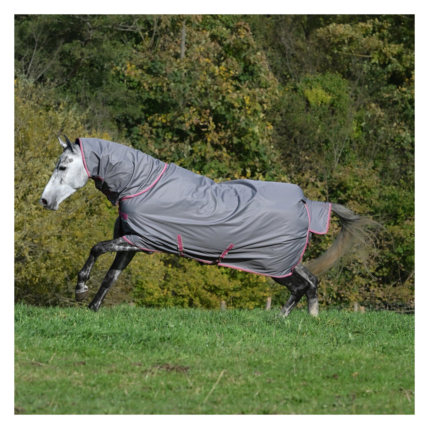 bucas Outdoordecke Freedom Turnout Full Neck Light – Ansicht 1