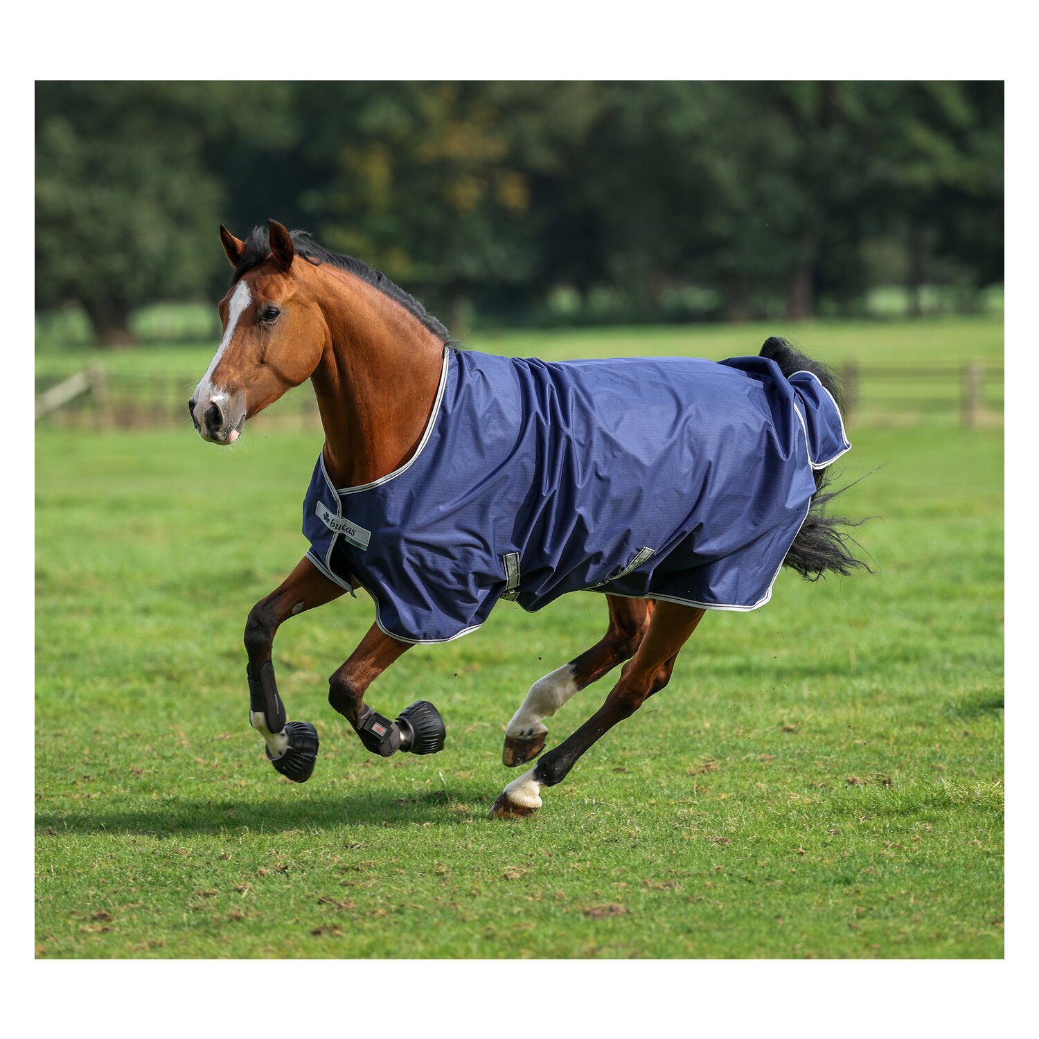bucas Freedom Turnout 50 g &ndash; Ansicht 1