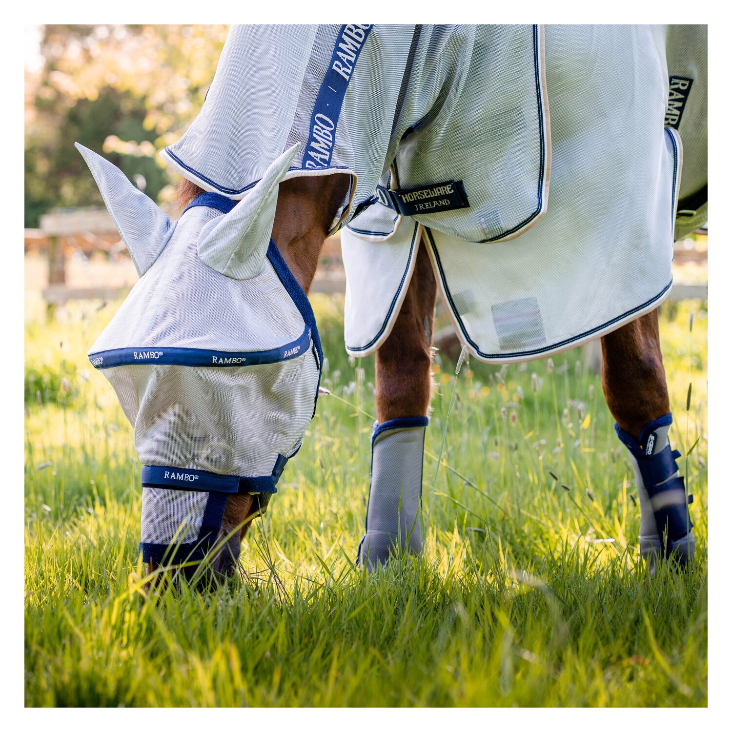 HORSEWARE Fliegenmaske RAMBO PLUS – Ansicht 2