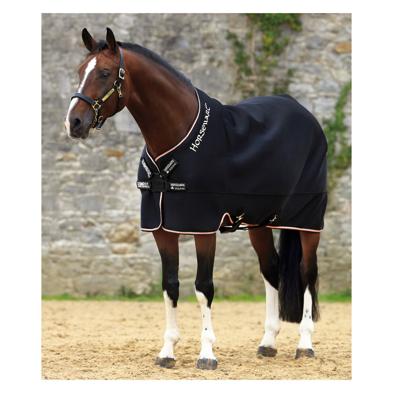 HORSEWARE Abschwitzdecke Rambo Airmax Cooler Disc &ndash; Ansicht 1