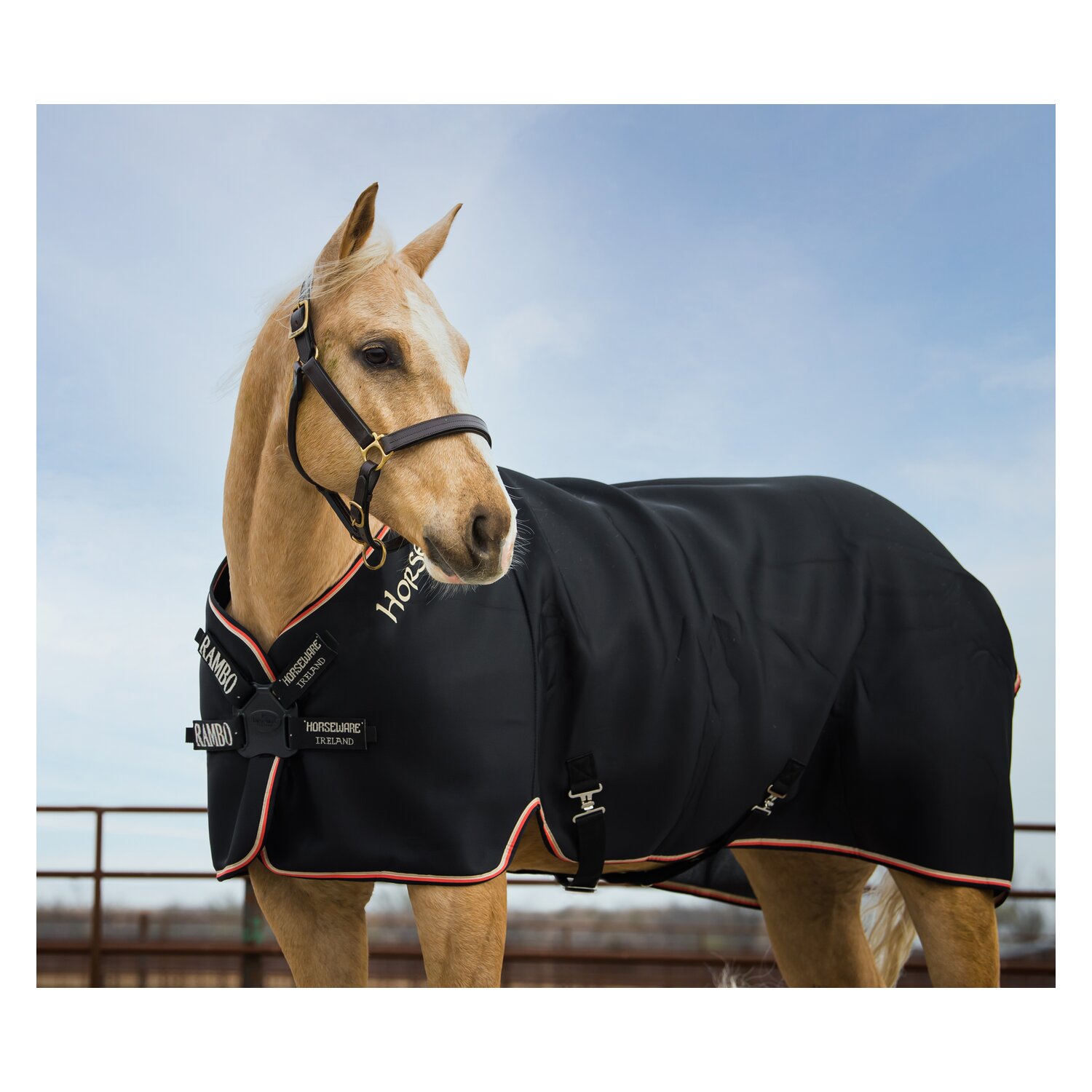 HORSEWARE Abschwitzdecke Rambo Airmax Cooler Disc &ndash; Ansicht 2