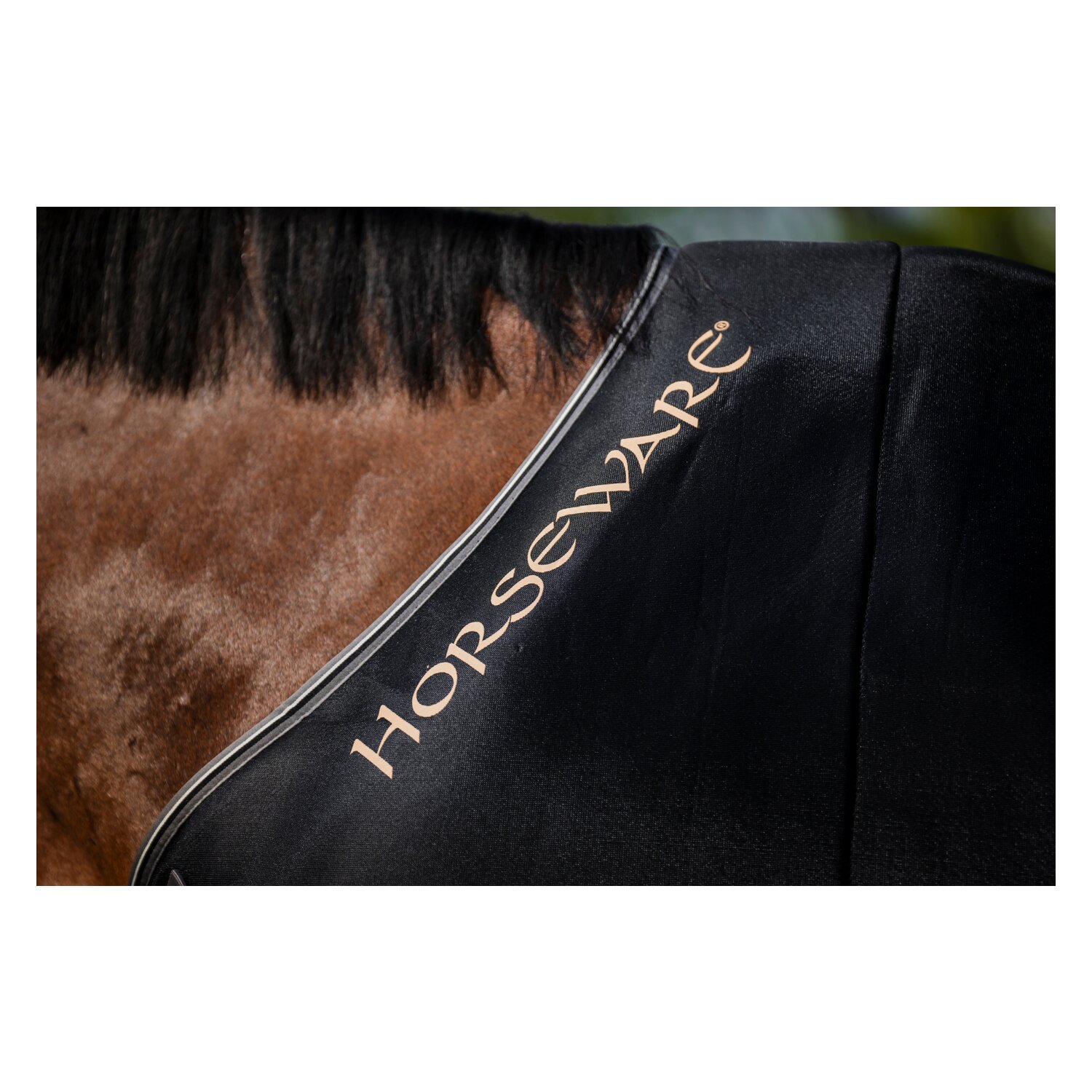 HORSEWARE Abschwitzdecke Rambo Airmax Cooler Disc – Ansicht 4