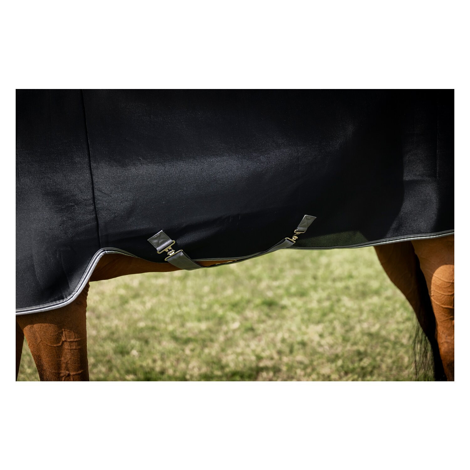 HORSEWARE Abschwitzdecke Rambo Airmax Cooler Disc – Ansicht 5