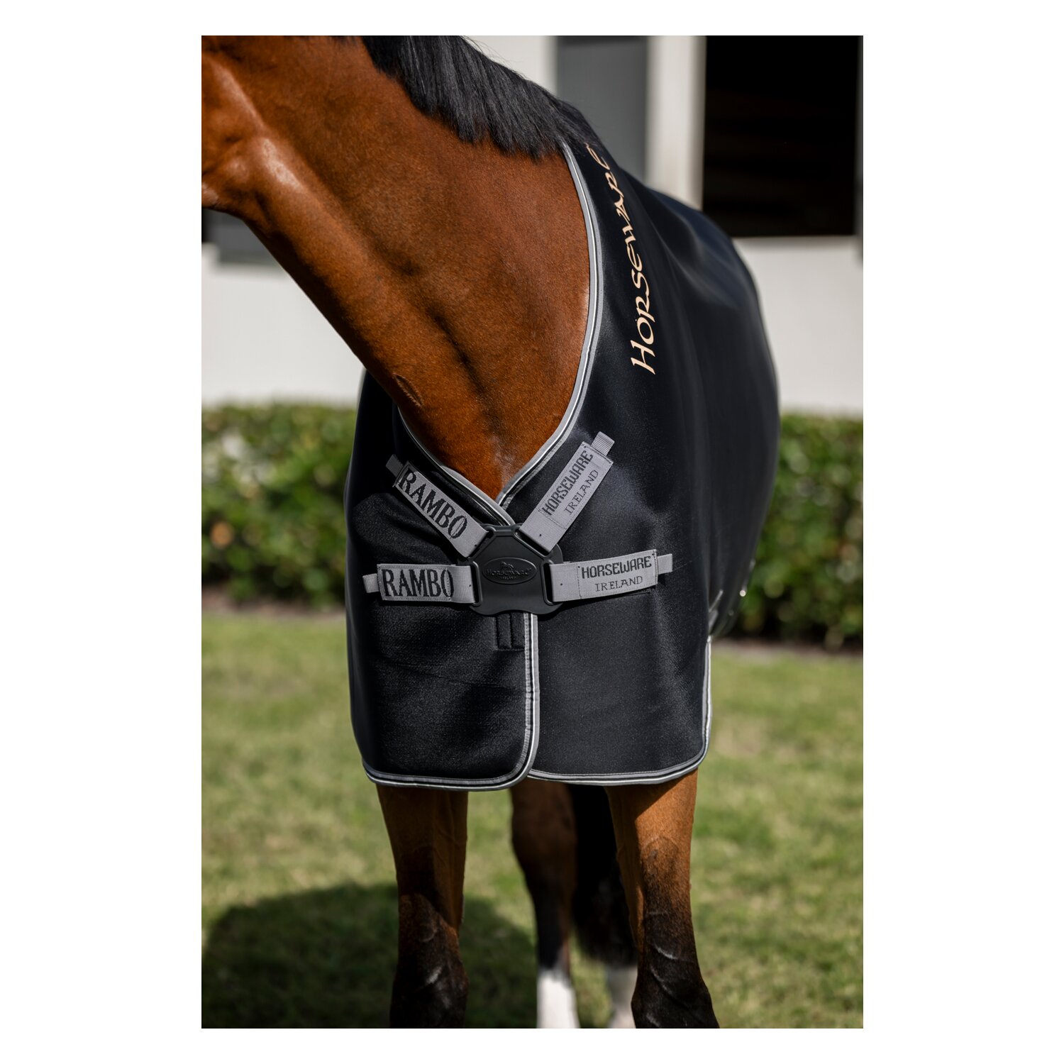 HORSEWARE Abschwitzdecke Rambo Airmax Cooler Disc – Ansicht 3