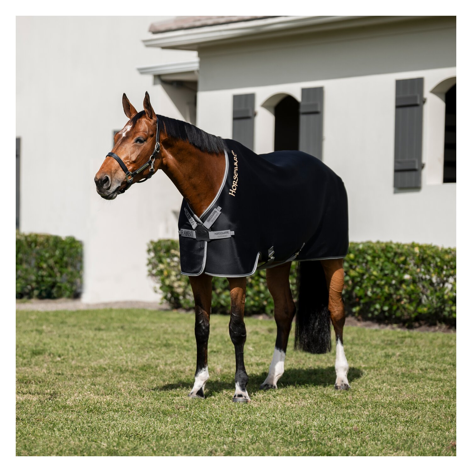 HORSEWARE Abschwitzdecke Rambo Airmax Cooler Disc – Ansicht 2