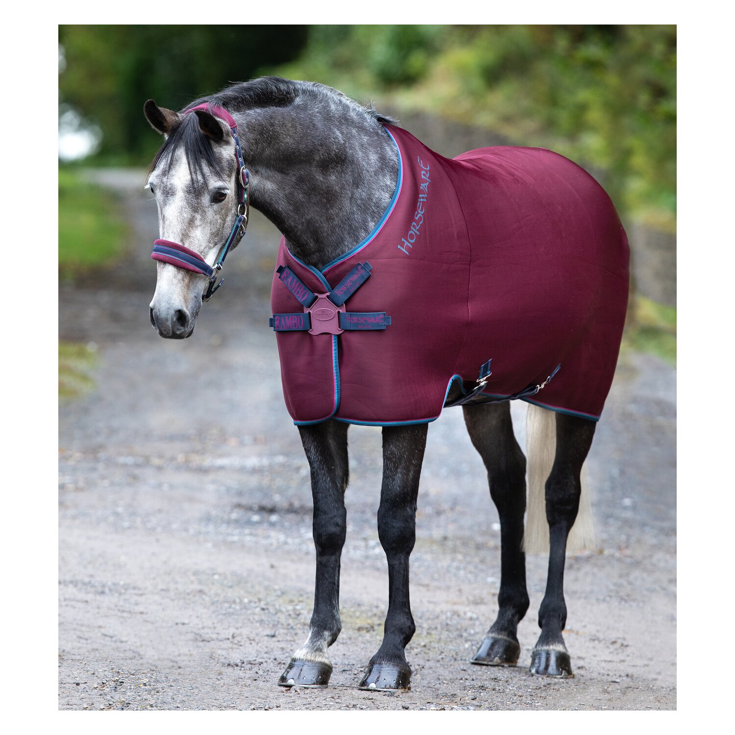 HORSEWARE Abschwitzdecke Rambo Airmax Cooler Disc – Ansicht 1