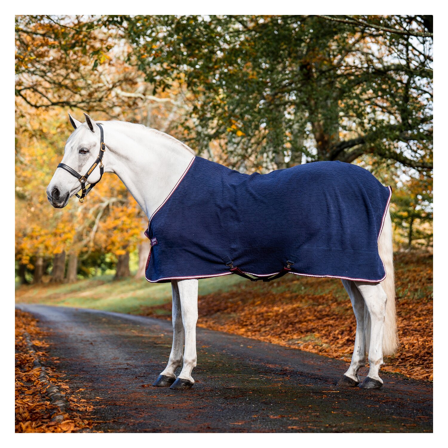 HORSEWARE Abschwitzdecke Jersey Cooler AMIGO Embossed – Ansicht 1