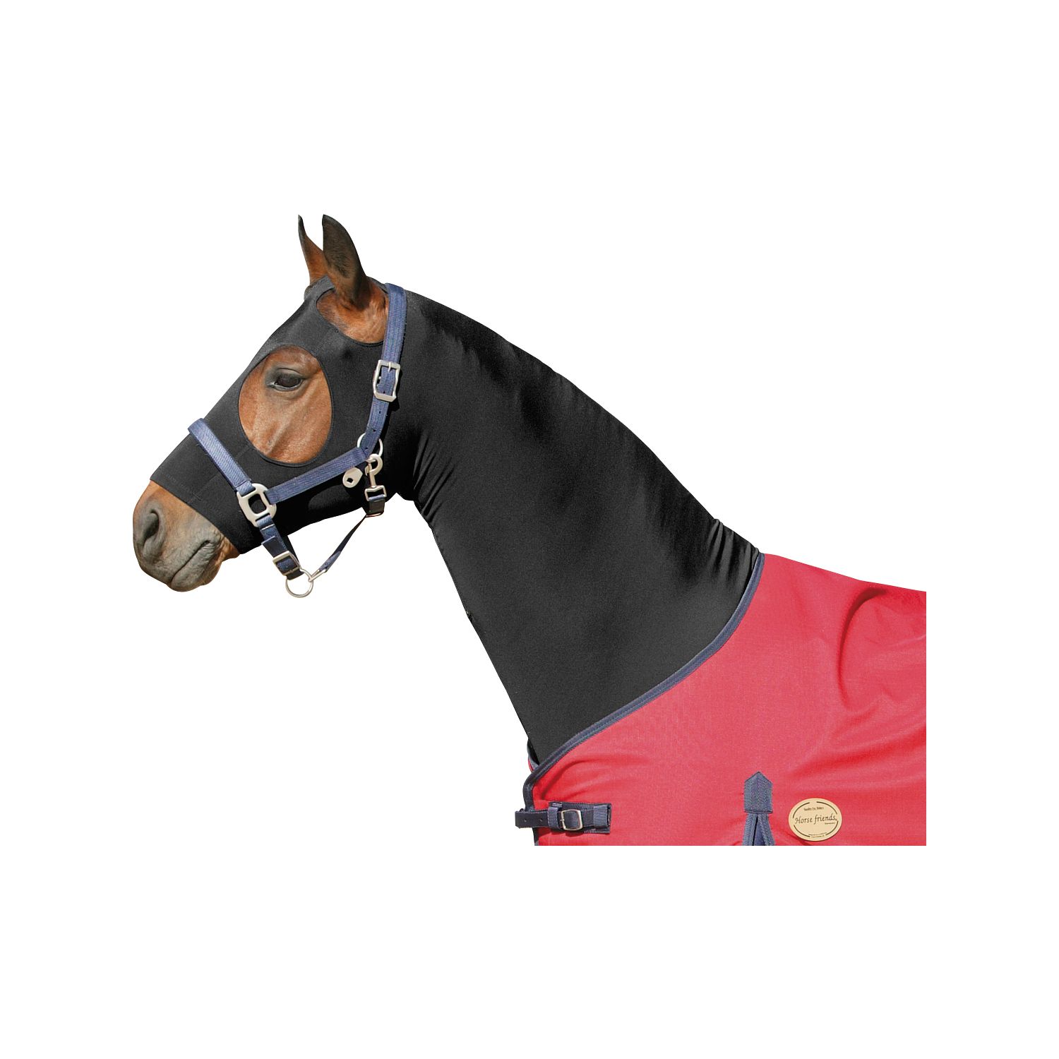 Horse-friends Sleezy – Ansicht 2