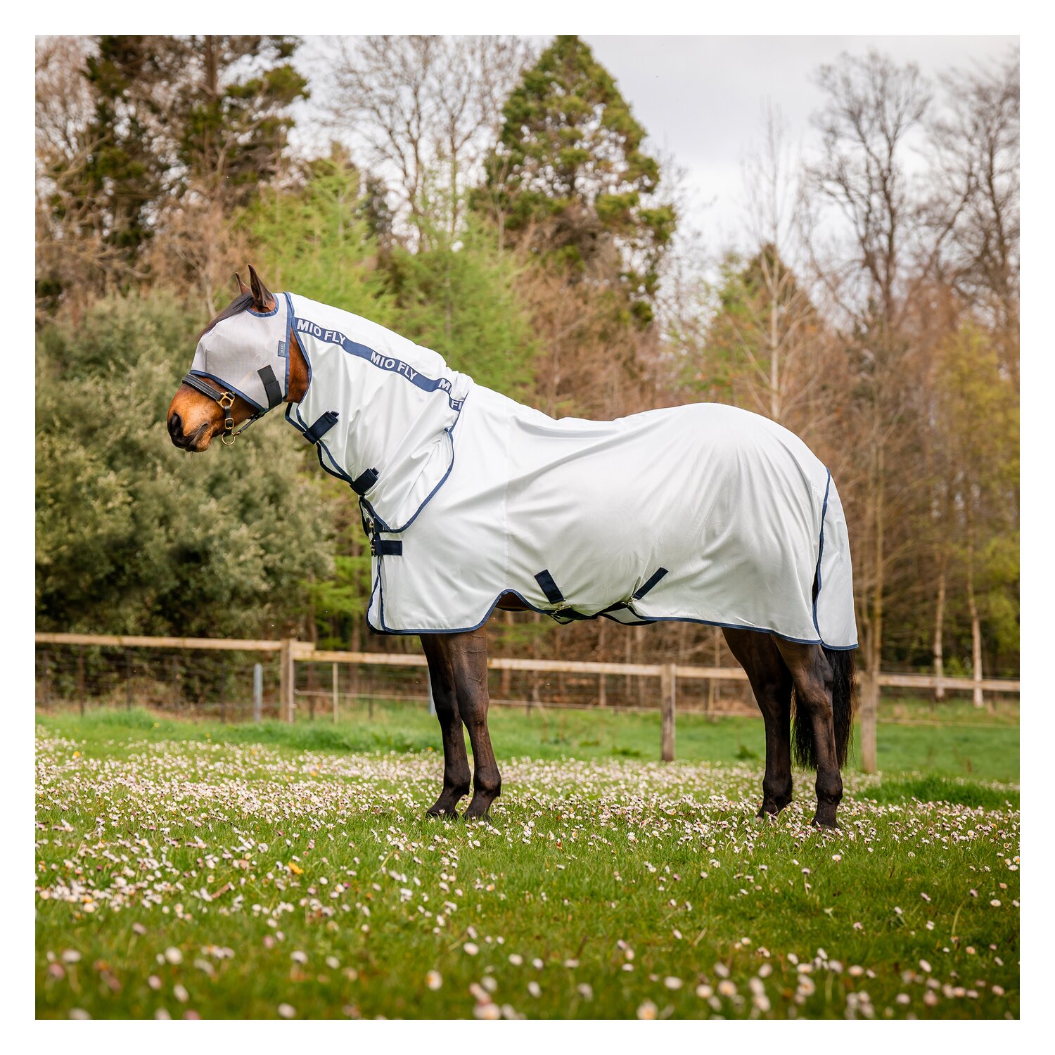 Horseware Fliegendecke MIO – Ansicht 1