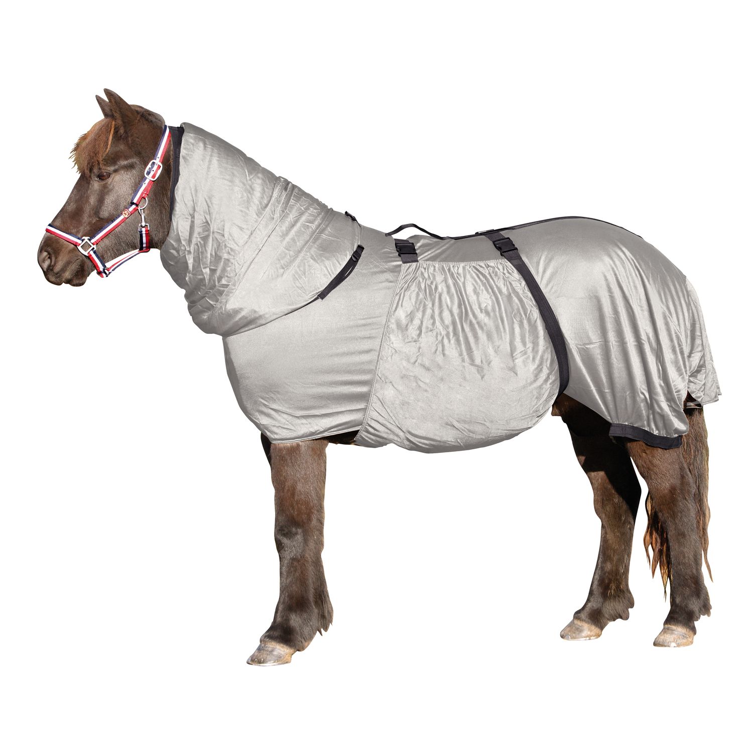 Horse-friends Ekzemerdecke Basic – Ansicht 1