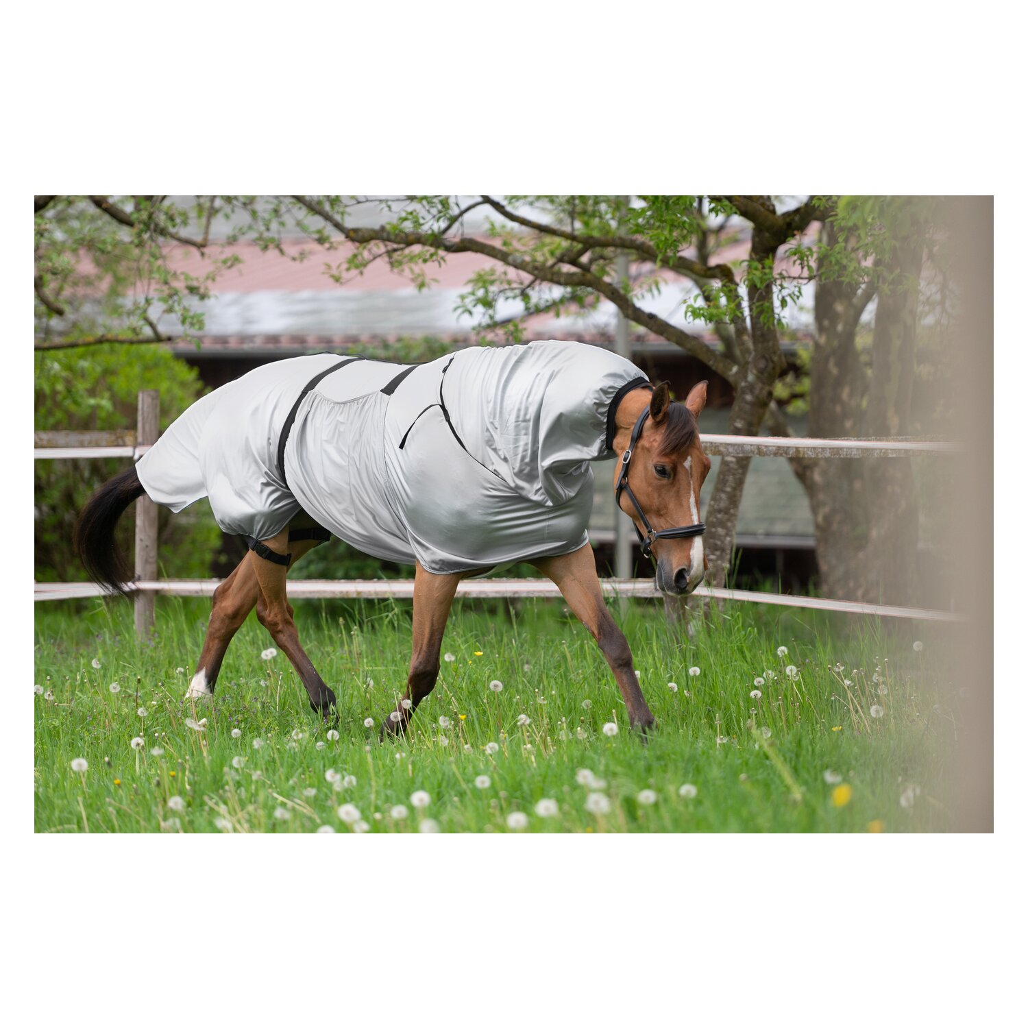 Horse-friends Ekzemerdecke Basic – Ansicht 3