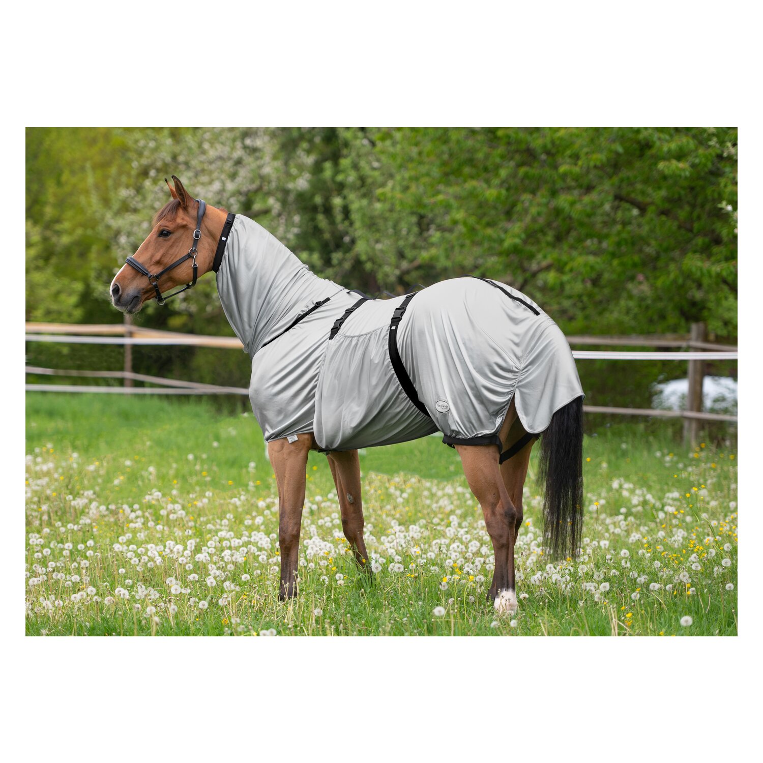 Horse-friends Ekzemerdecke Basic – Ansicht 4