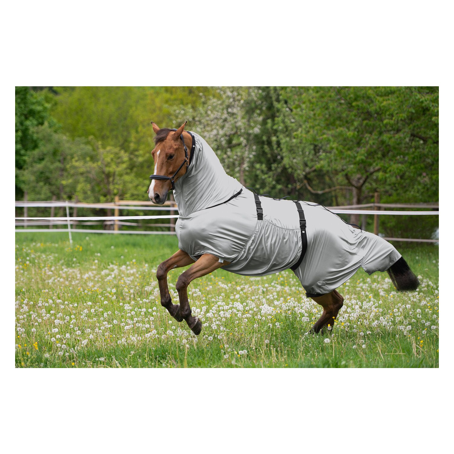 Horse-friends Ekzemerdecke Basic – Ansicht 2
