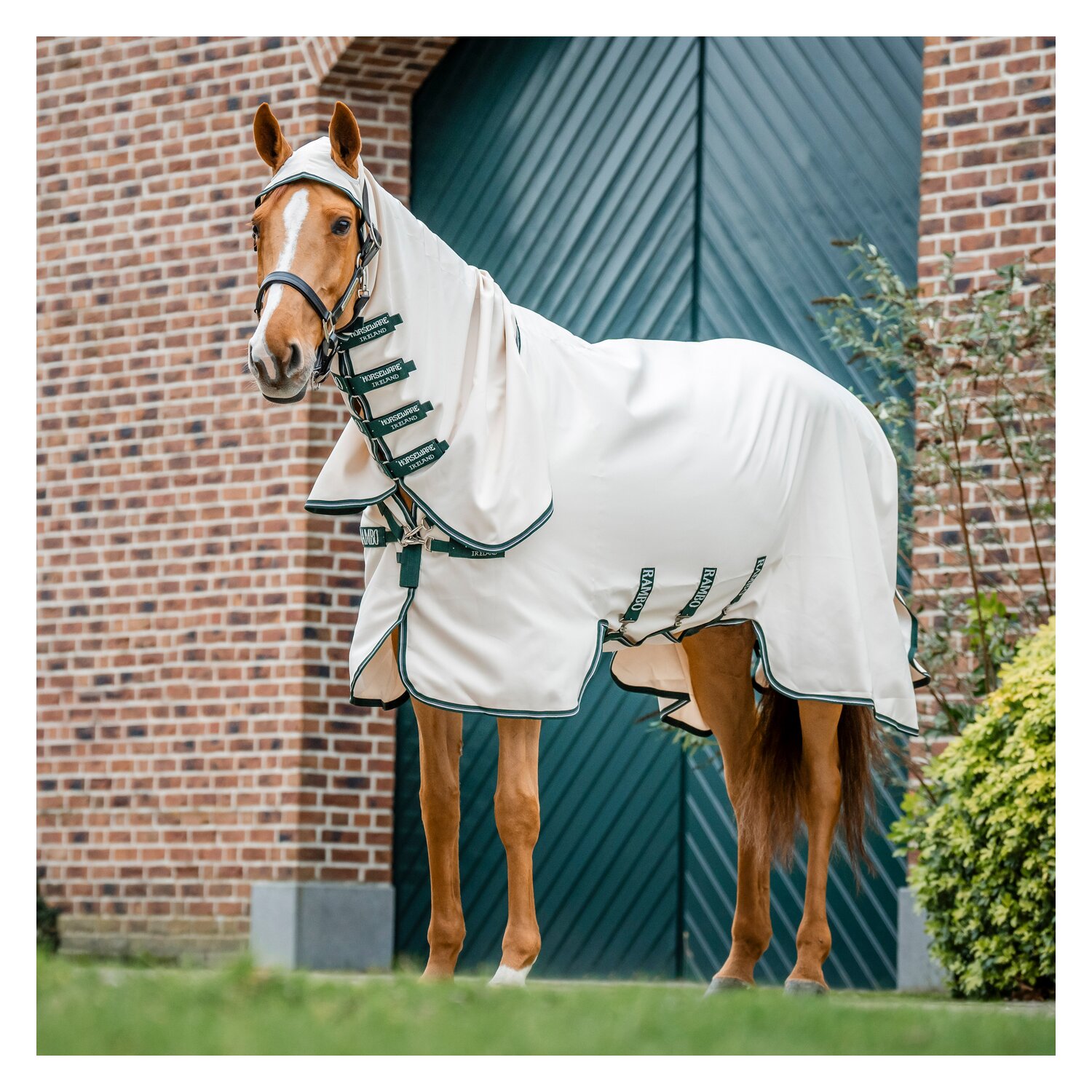 HORSEWARE Fliegendecke RAMBO Hoodie – Ansicht 5