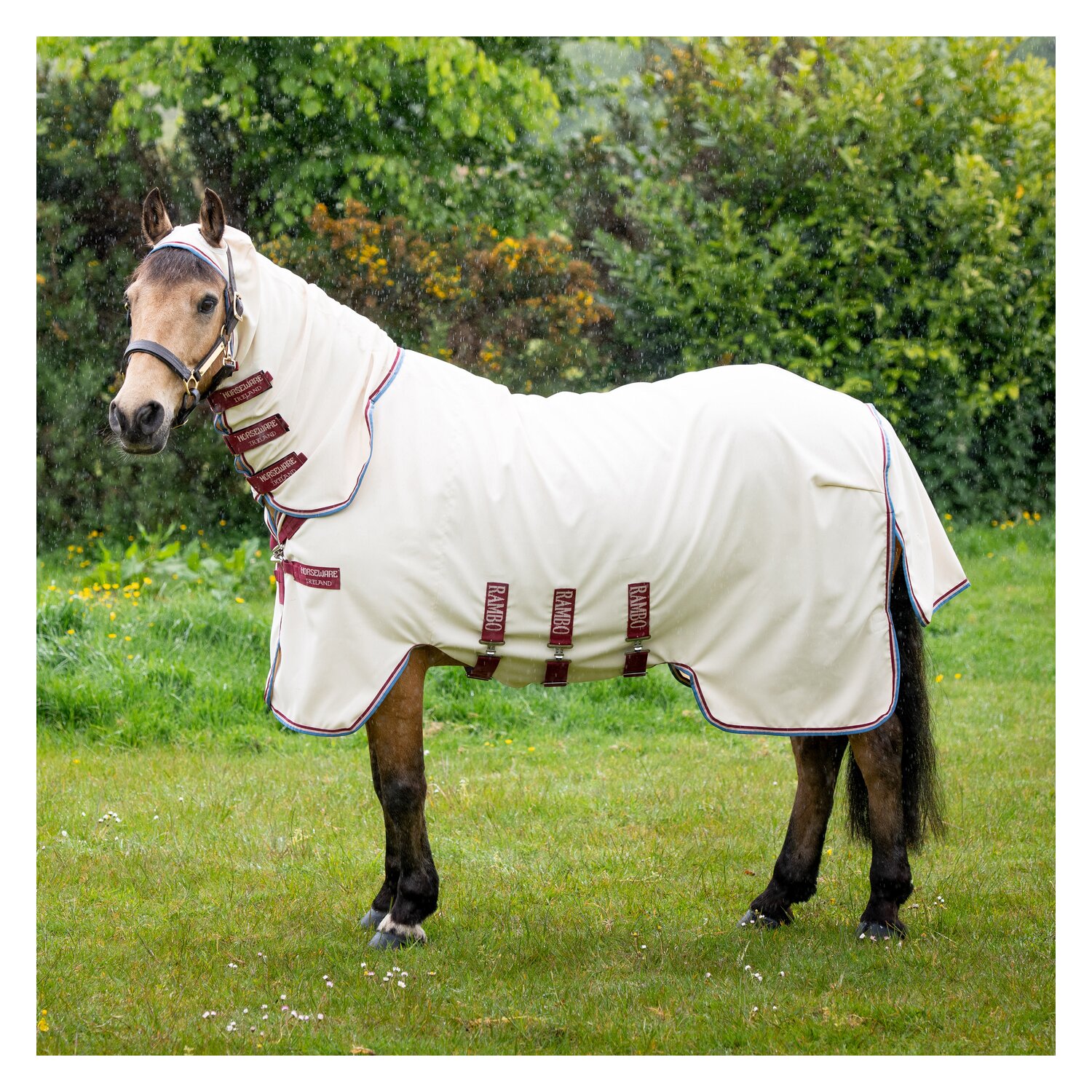 HORSEWARE Fliegendecke RAMBO Hoodie – Ansicht 1
