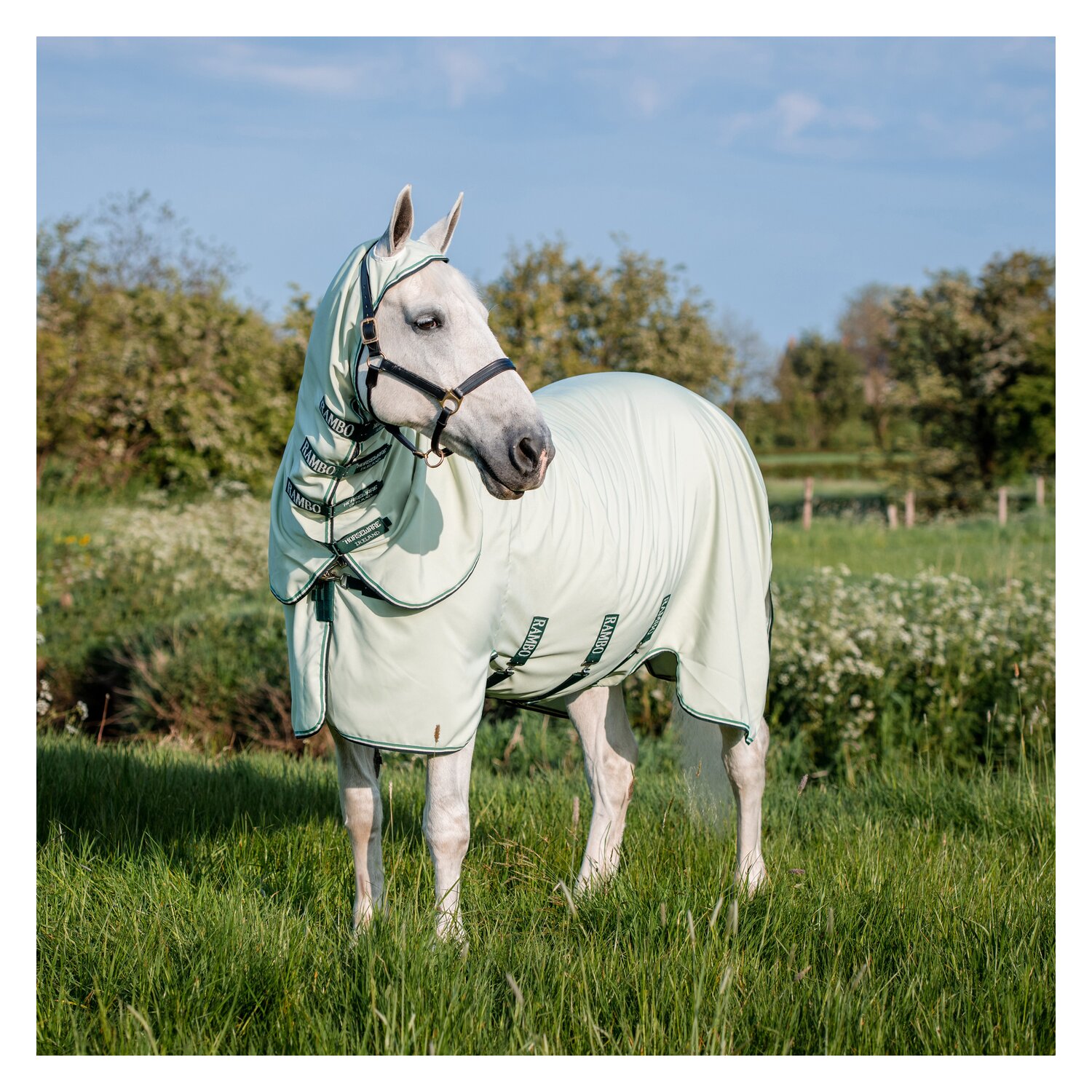 HORSEWARE Fliegendecke RAMBO Hoody XL – Ansicht 1