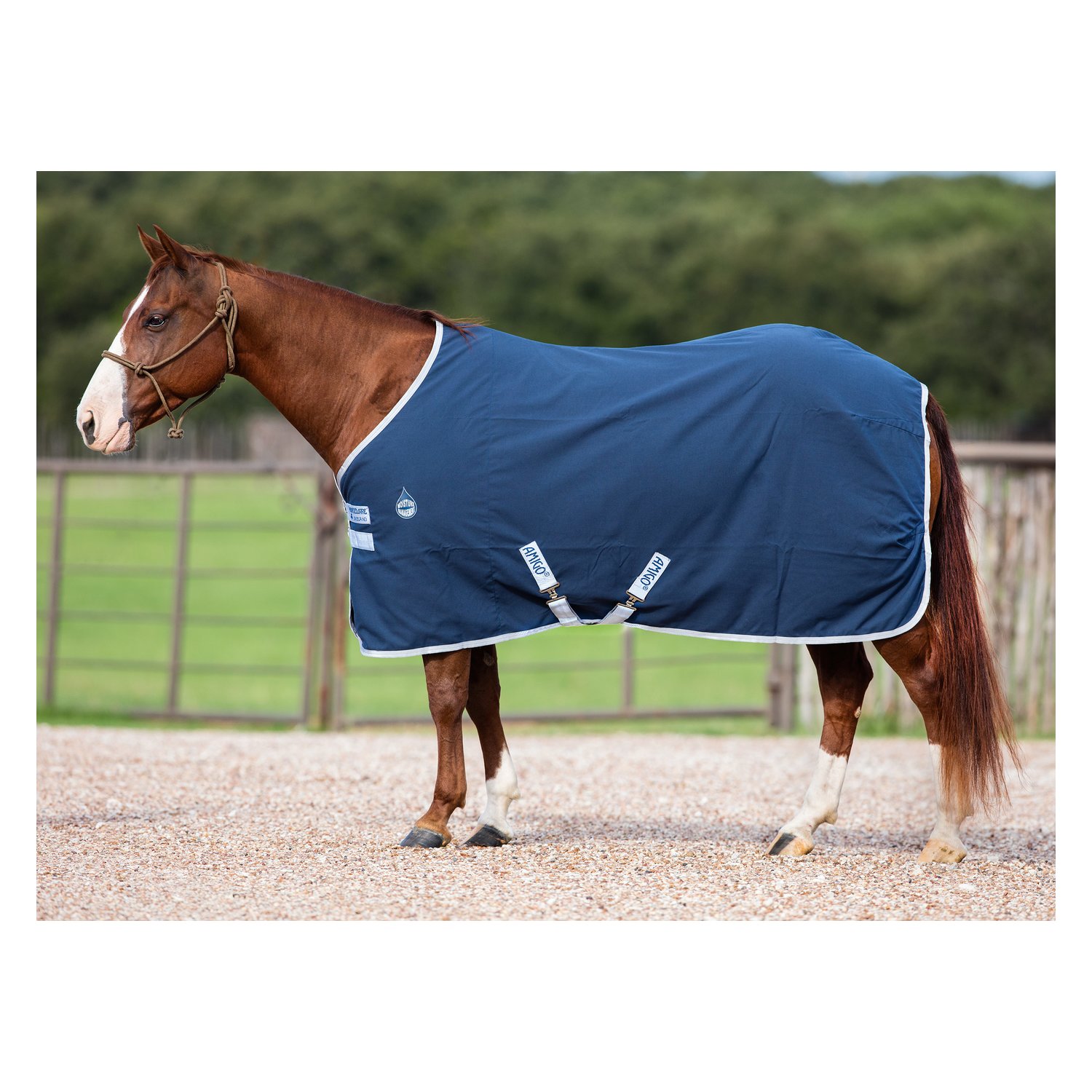 Horseware Stalldecke AMIGO Stable Sheet – Ansicht 2
