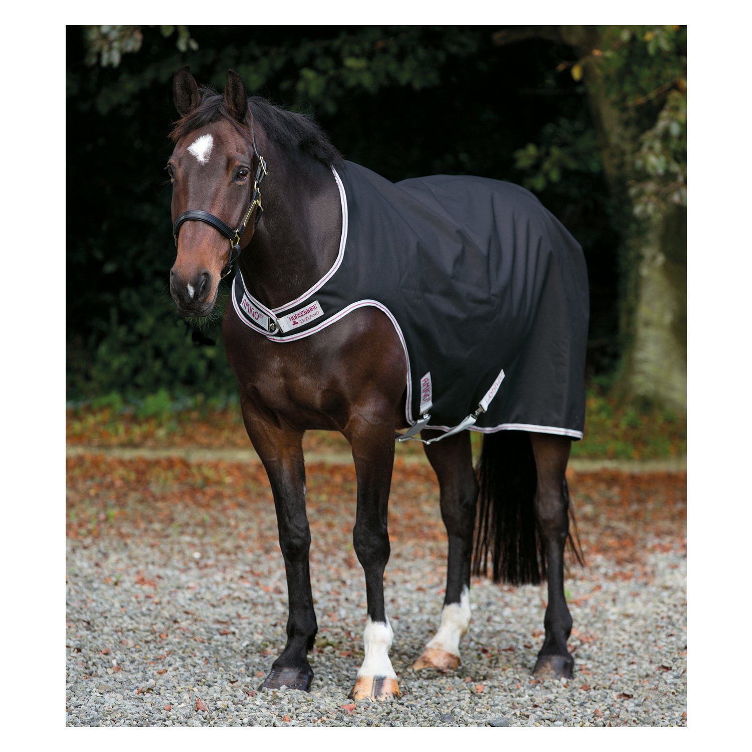Horseware Führmaschinendecke AMIGO Waterproof Walker – Ansicht 1