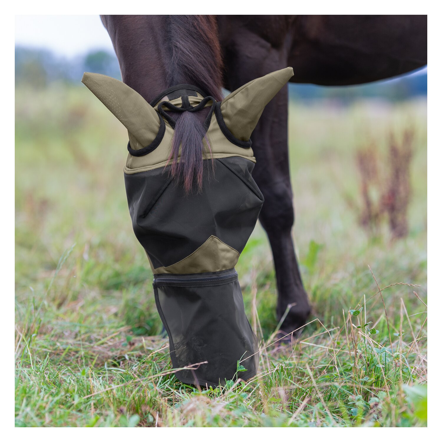 IRISh INNOVATION Fliegenmaske 2 in 1 – Ansicht 8