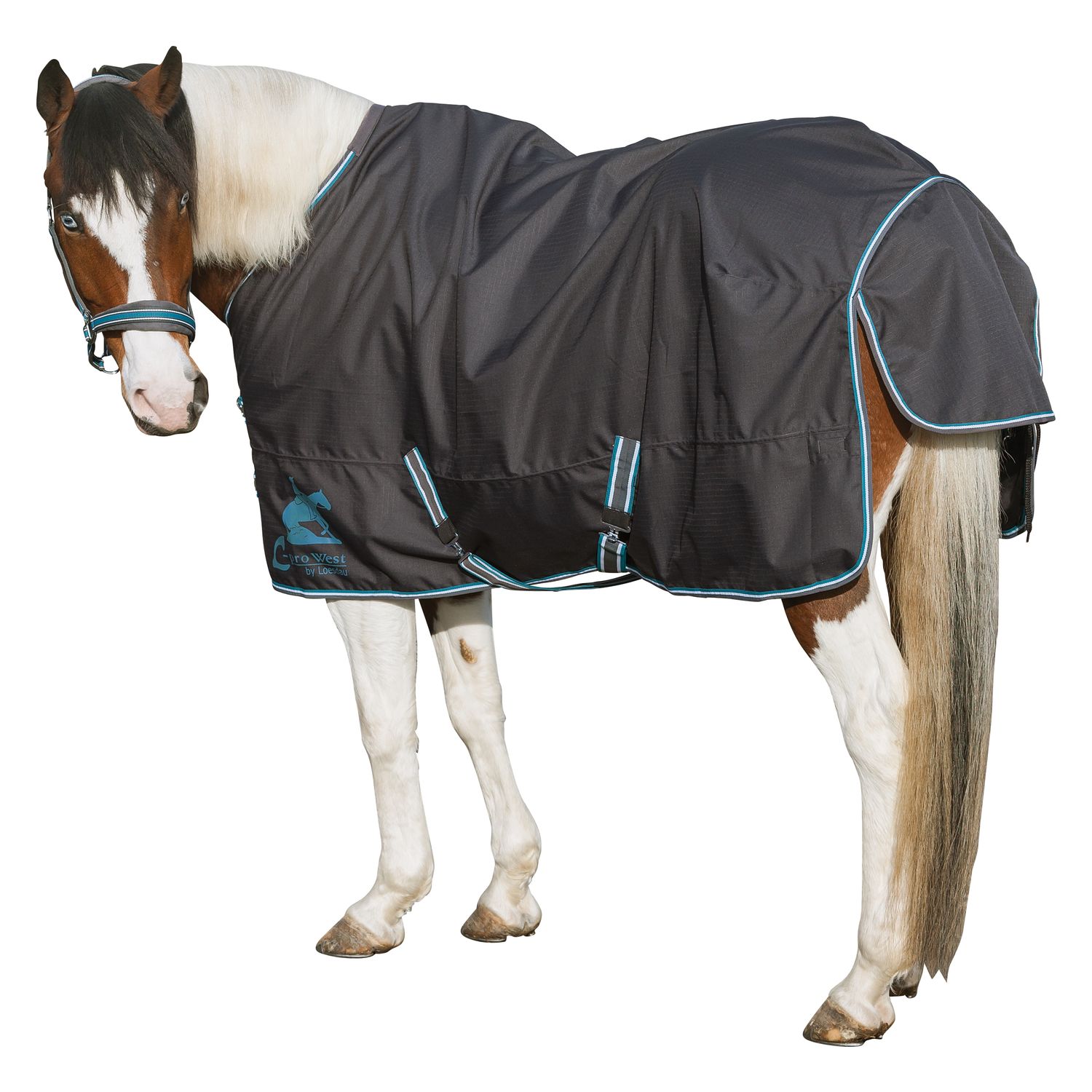 L-pro West Paddock- und Outdoordecke Light – Ansicht 3