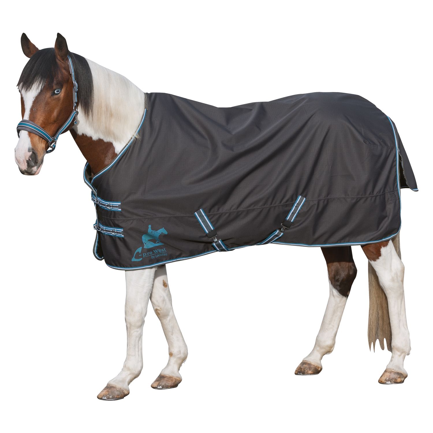 L-pro West Paddock- und Outdoordecke Light – Ansicht 1