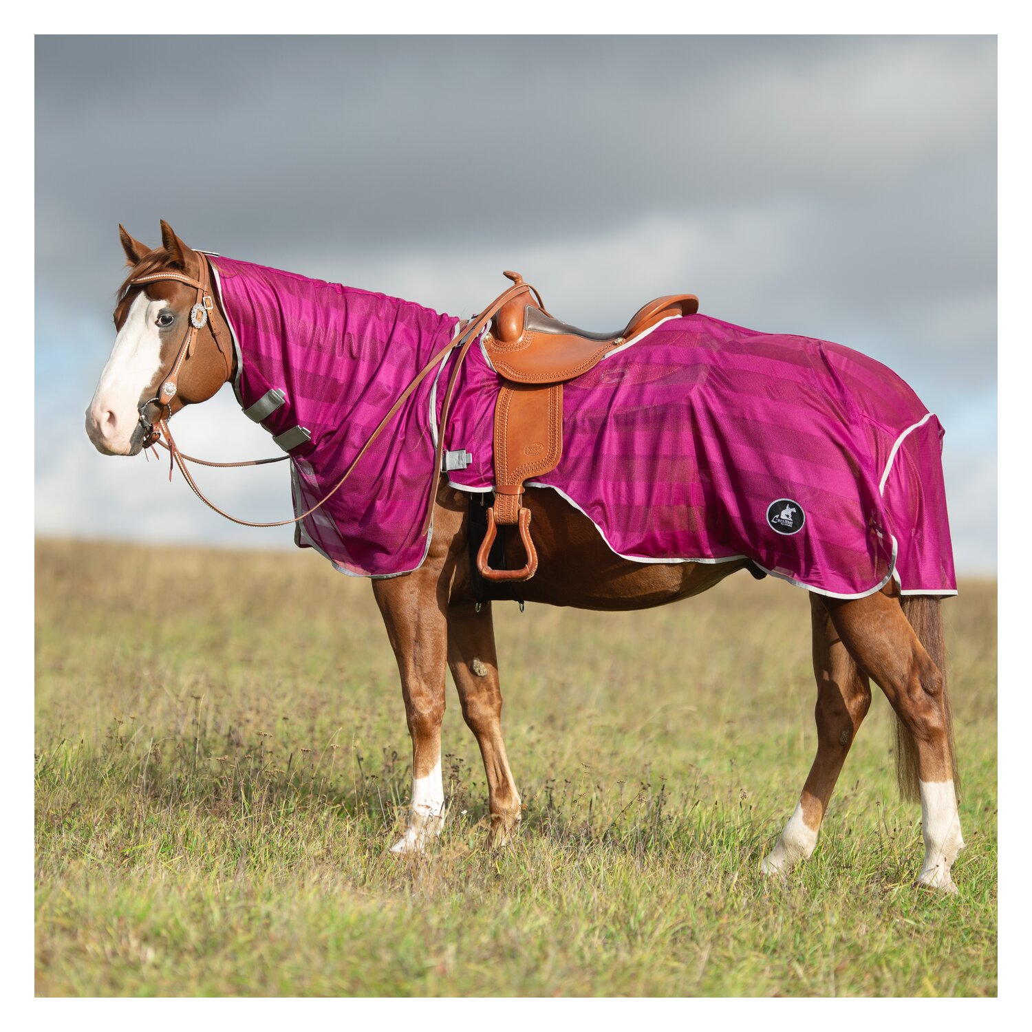 L-pro West Fliegen-Ausreitdecke für Westernsättel – Ansicht 2