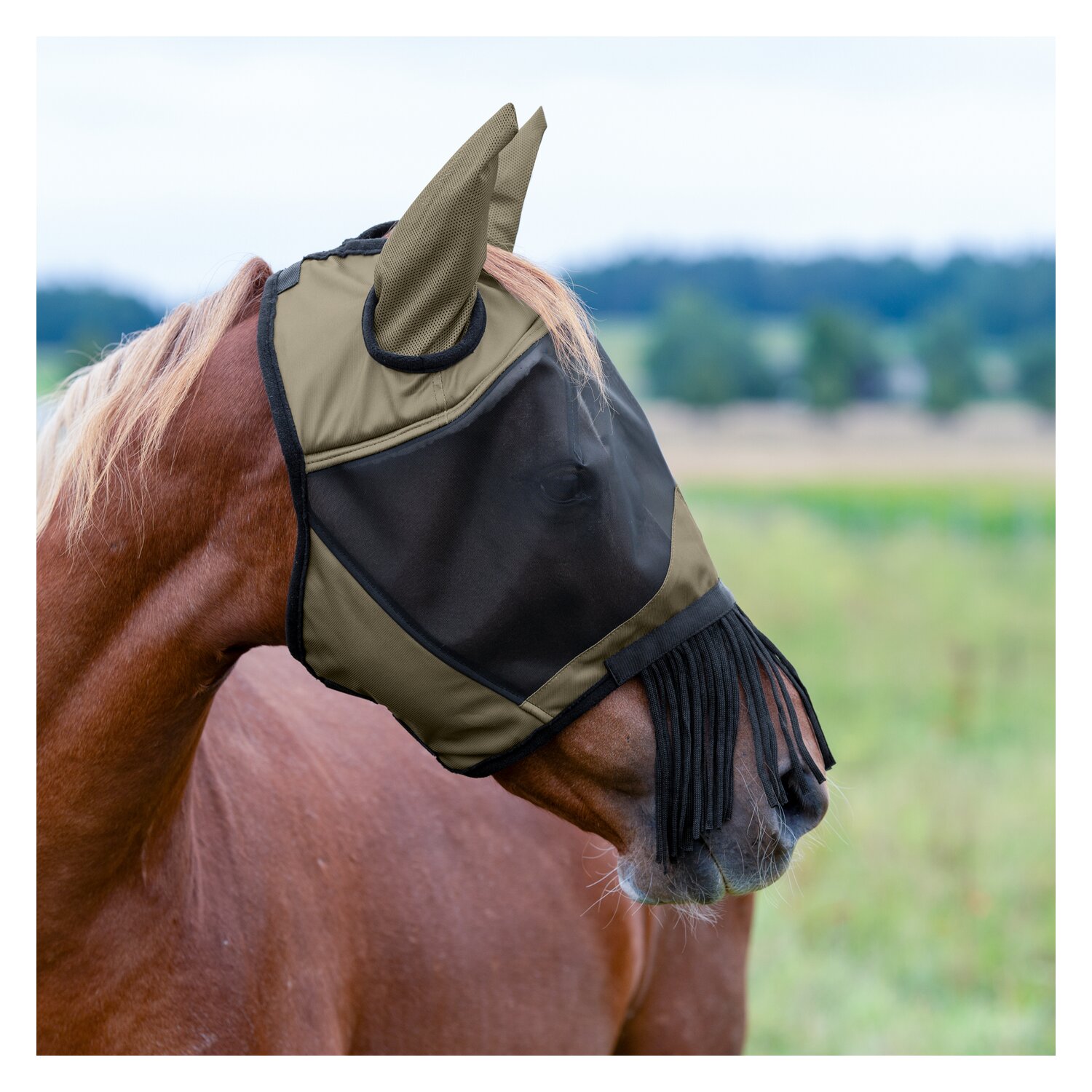 IRISh INNOVATION Fliegenmaske – Ansicht 4