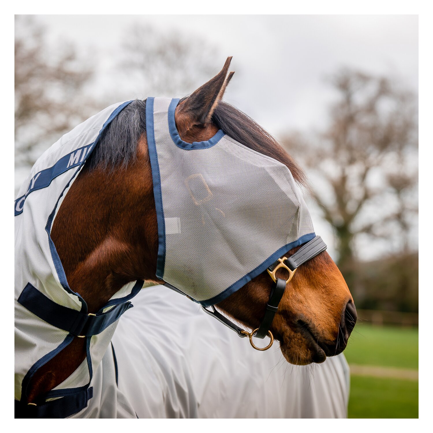 Horseware Fliegenmaske MIO &ndash; Ansicht 1