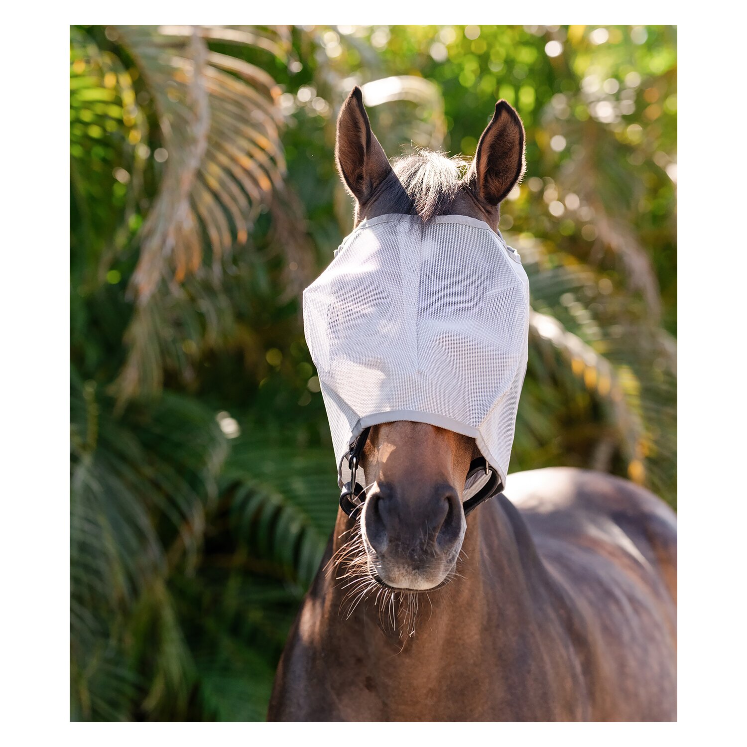 HORSEWARE Fliegenmaske AMIGO No Ears – Ansicht 4