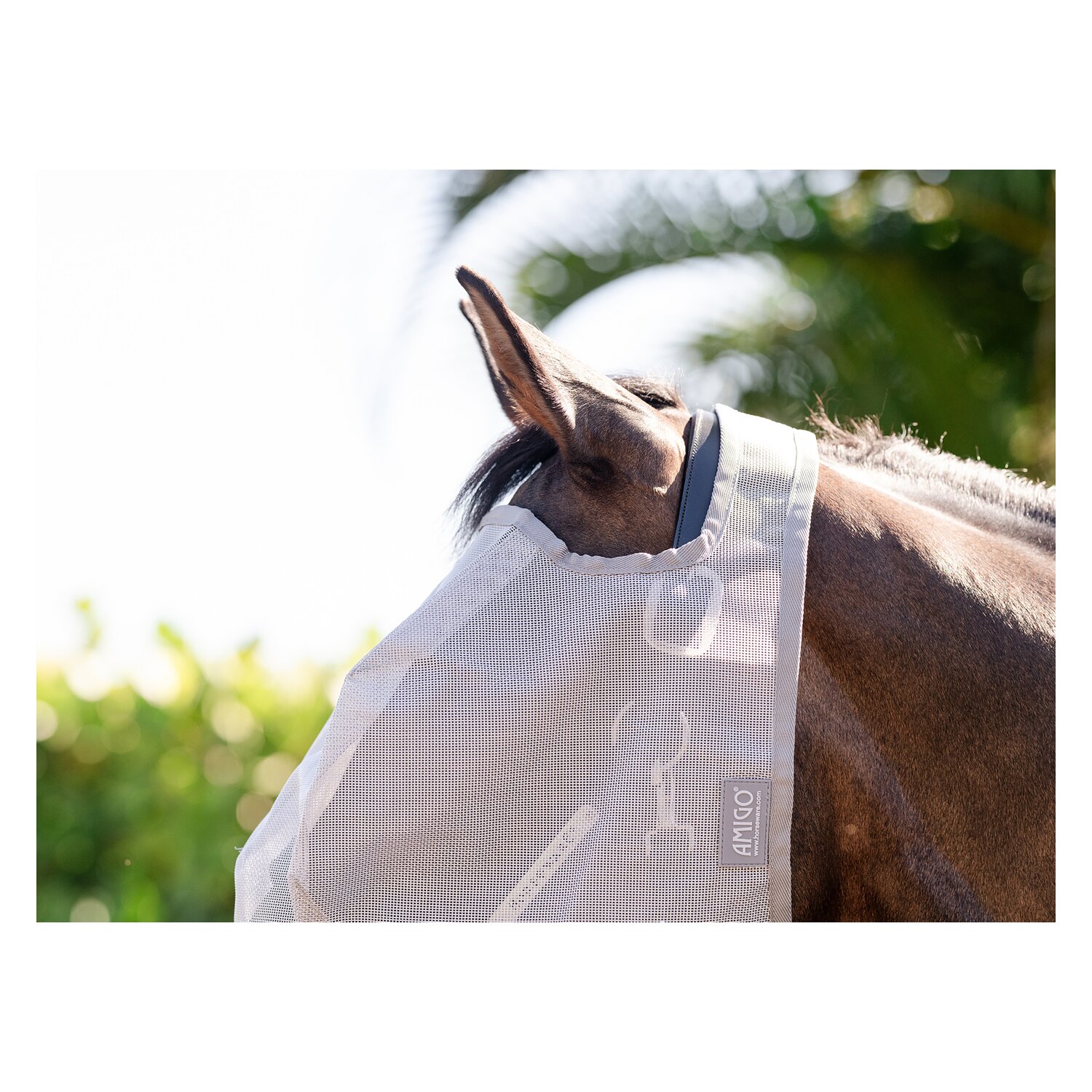 HORSEWARE Fliegenmaske AMIGO No Ears – Ansicht 5