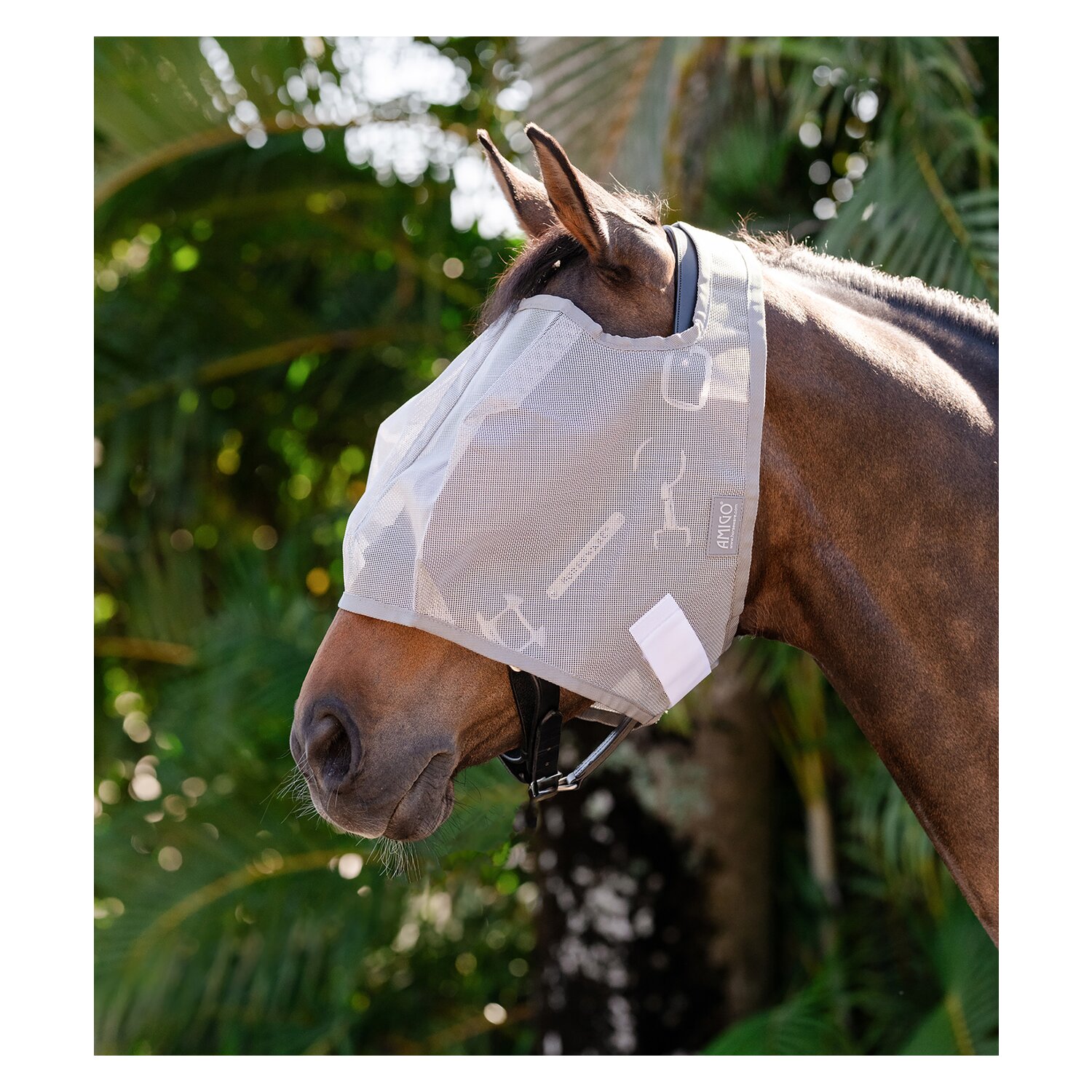 HORSEWARE Fliegenmaske AMIGO No Ears – Ansicht 1