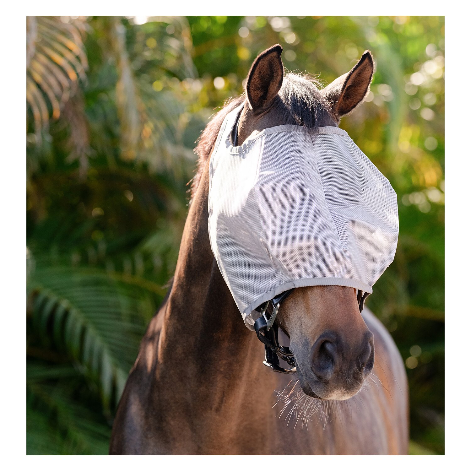 HORSEWARE Fliegenmaske AMIGO No Ears – Ansicht 2