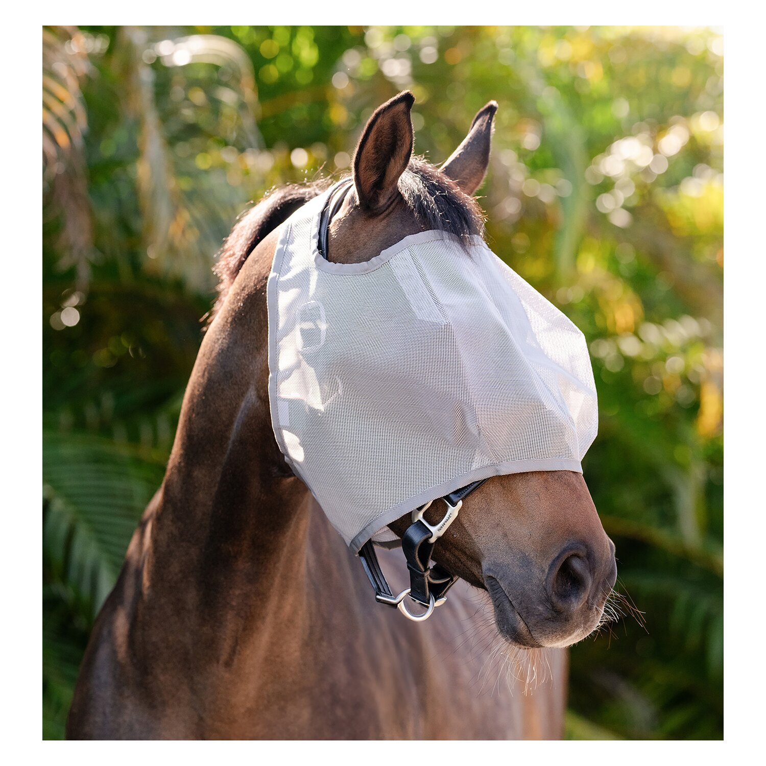 HORSEWARE Fliegenmaske AMIGO No Ears – Ansicht 3