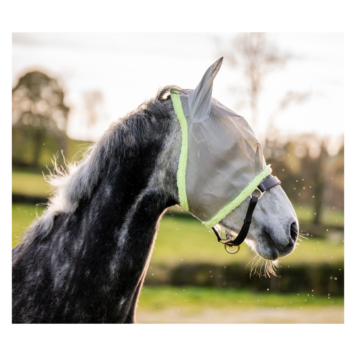 Horseware Fliegenmaske AMIGO Fly Mask – Ansicht 3