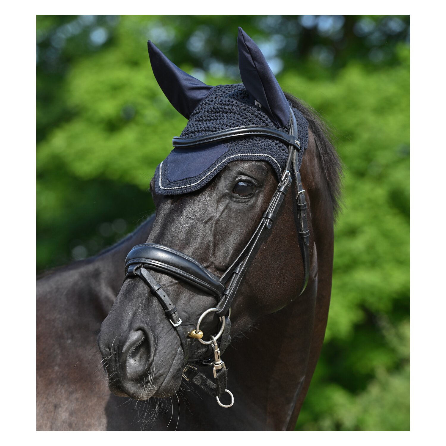 bucas Show-Line Collection Fliegenohren – Ansicht 2