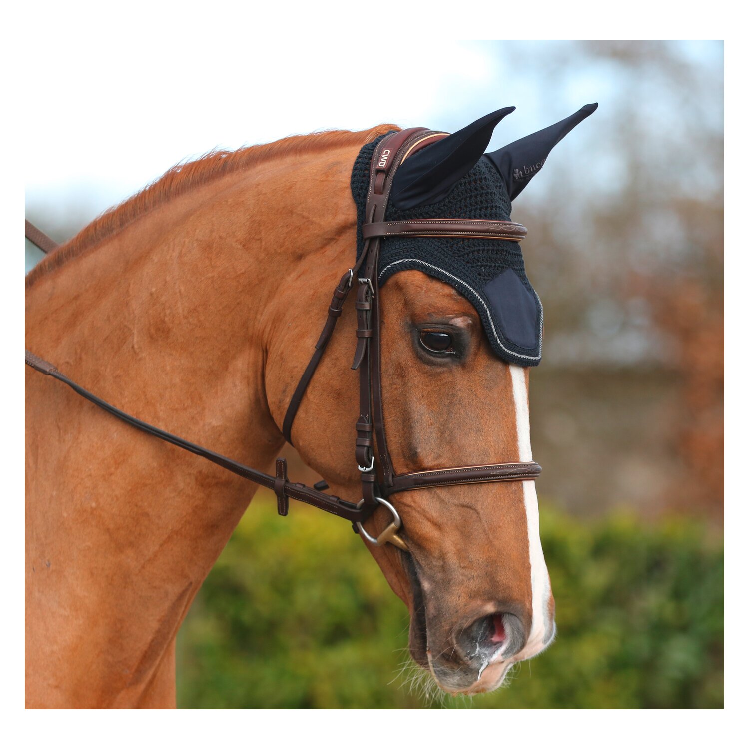 bucas Show-Line Collection Fliegenohren – Ansicht 4