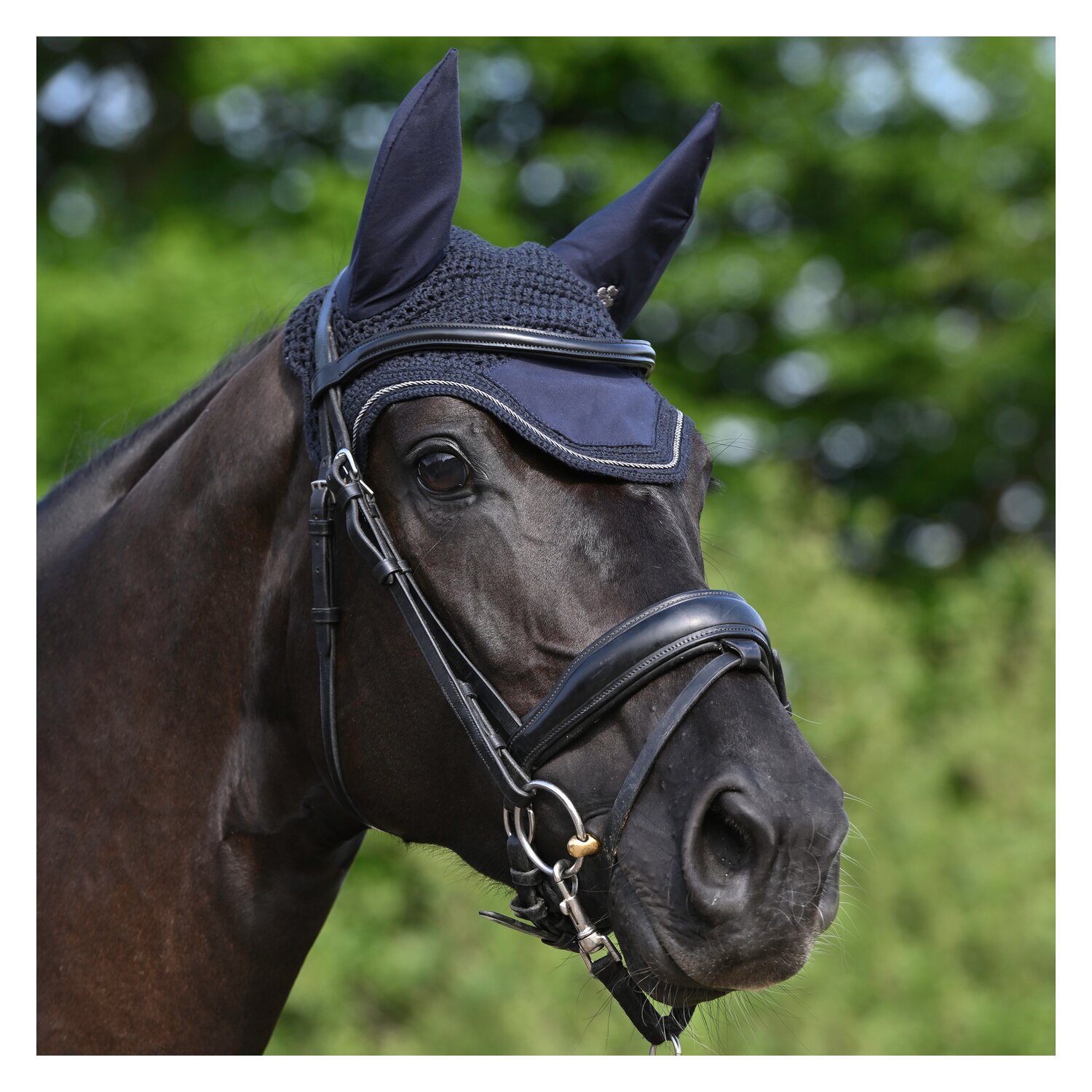 bucas Show-Line Collection Fliegenohren – Ansicht 1