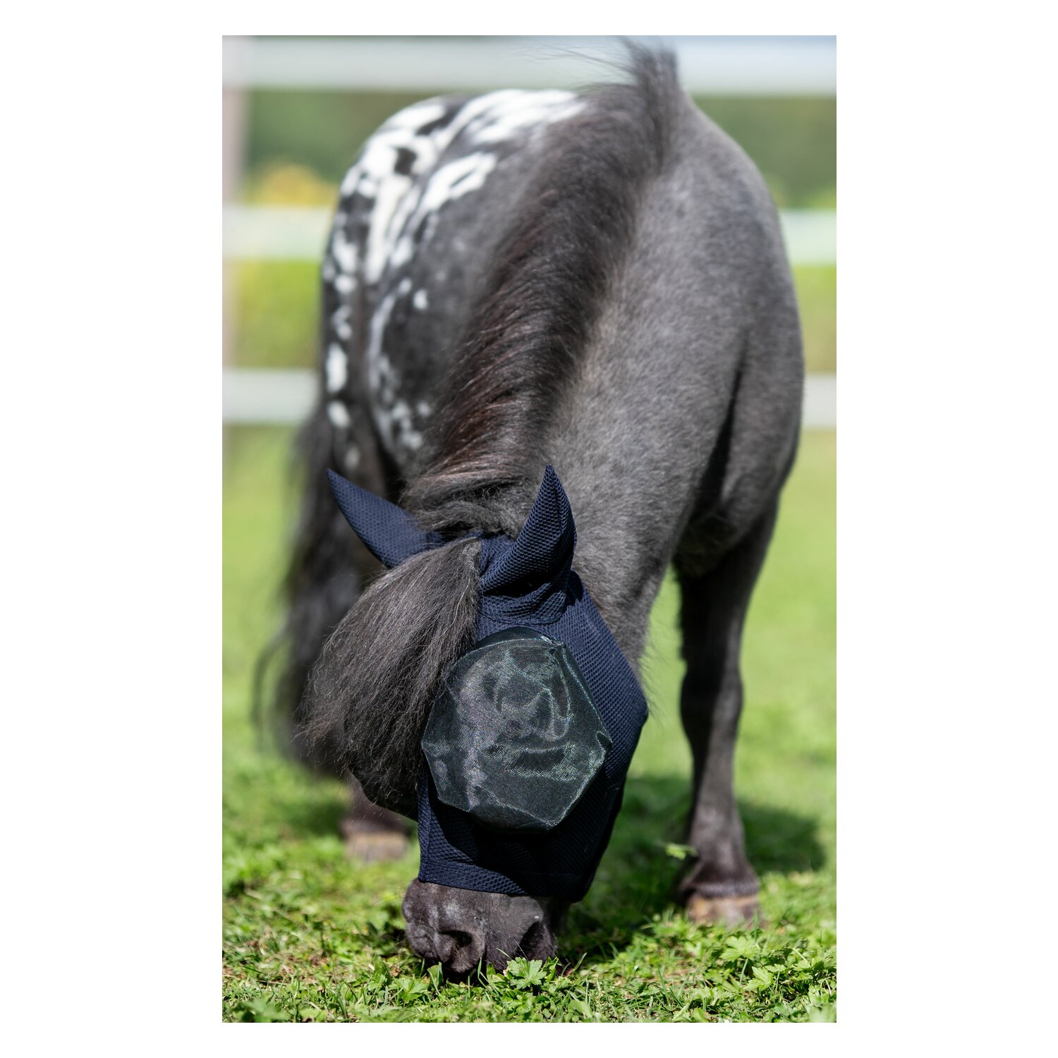 IRISh INNOVATION Fliegenmaske Geelong – Ansicht 2