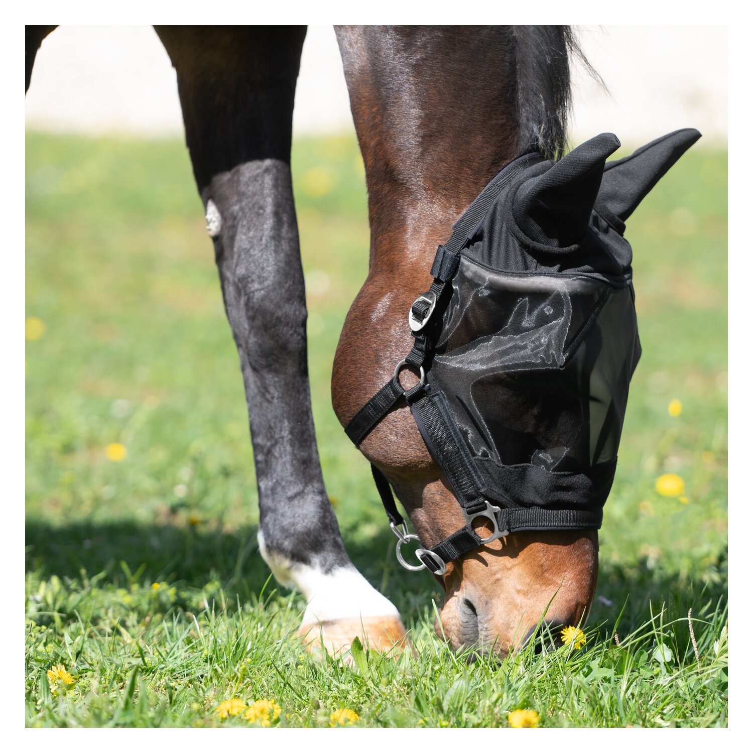 IRISh INNOVATION Halfter mit Fliegenmaske – Ansicht 2