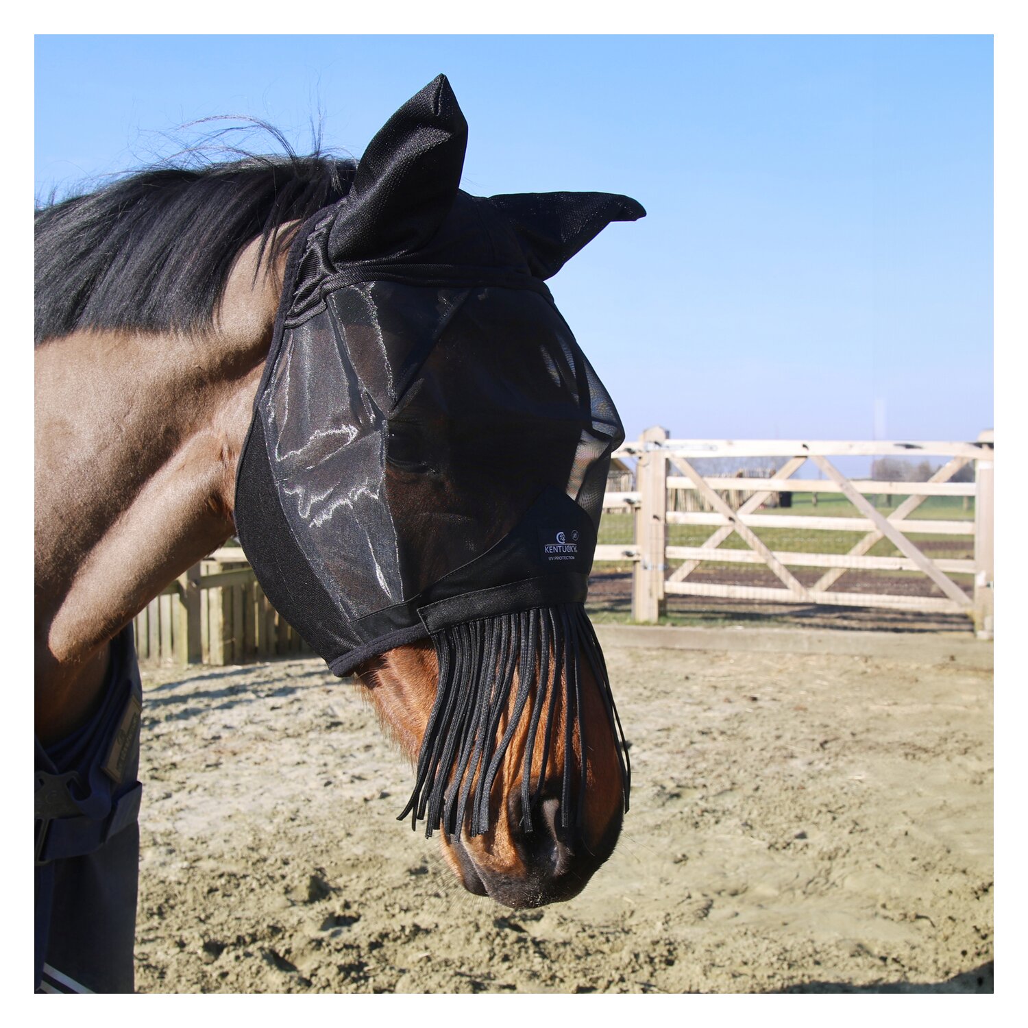KENTUCKY Fliegenmaske Classic mit Fransen – Ansicht 2