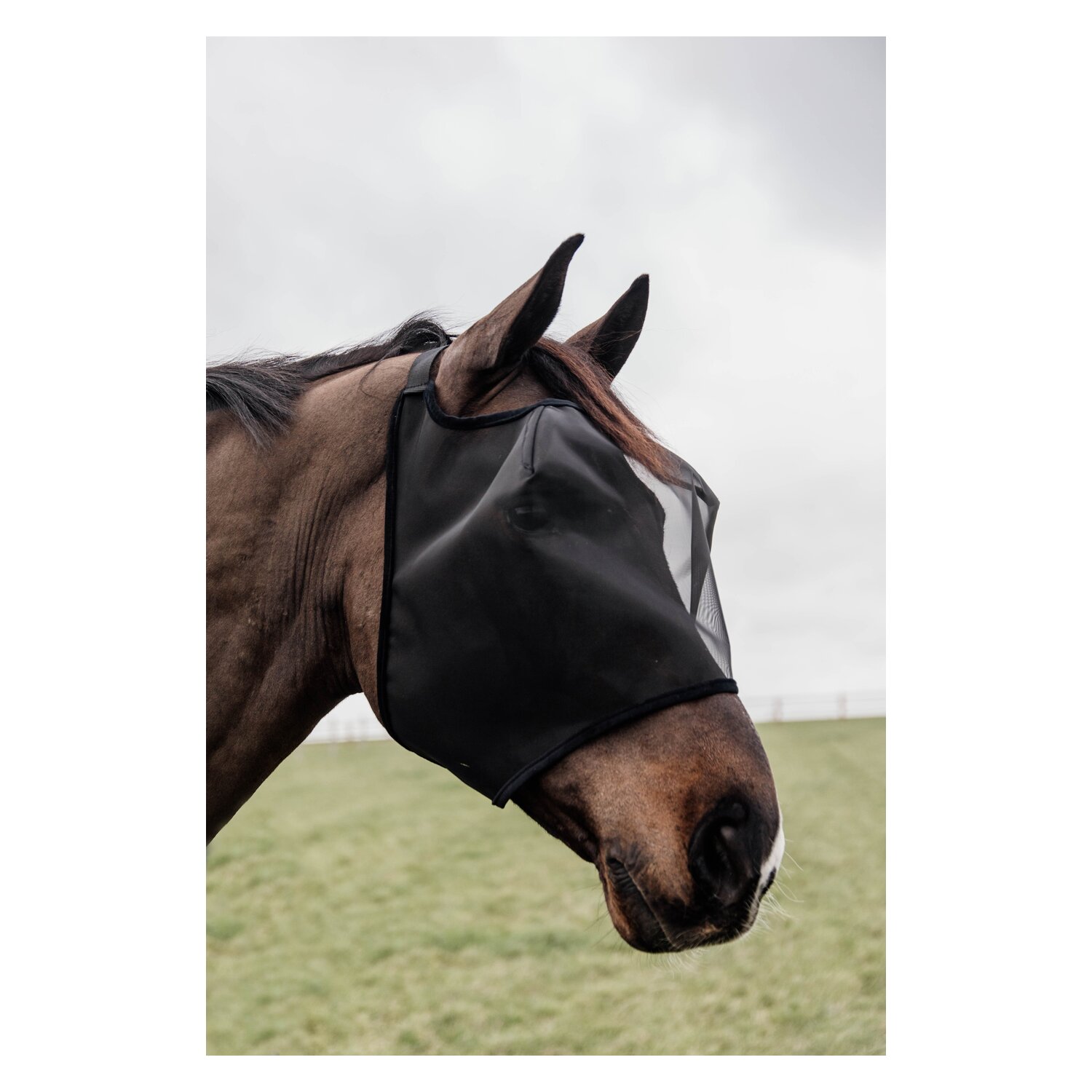 KENTUCKY Fliegenmaske Classic ohne Ohren – Ansicht 1