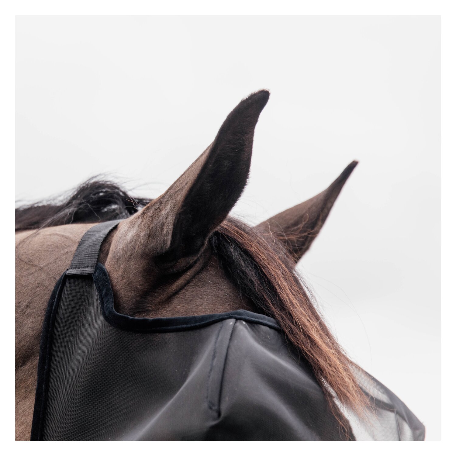 KENTUCKY Fliegenmaske Classic ohne Ohren – Ansicht 4